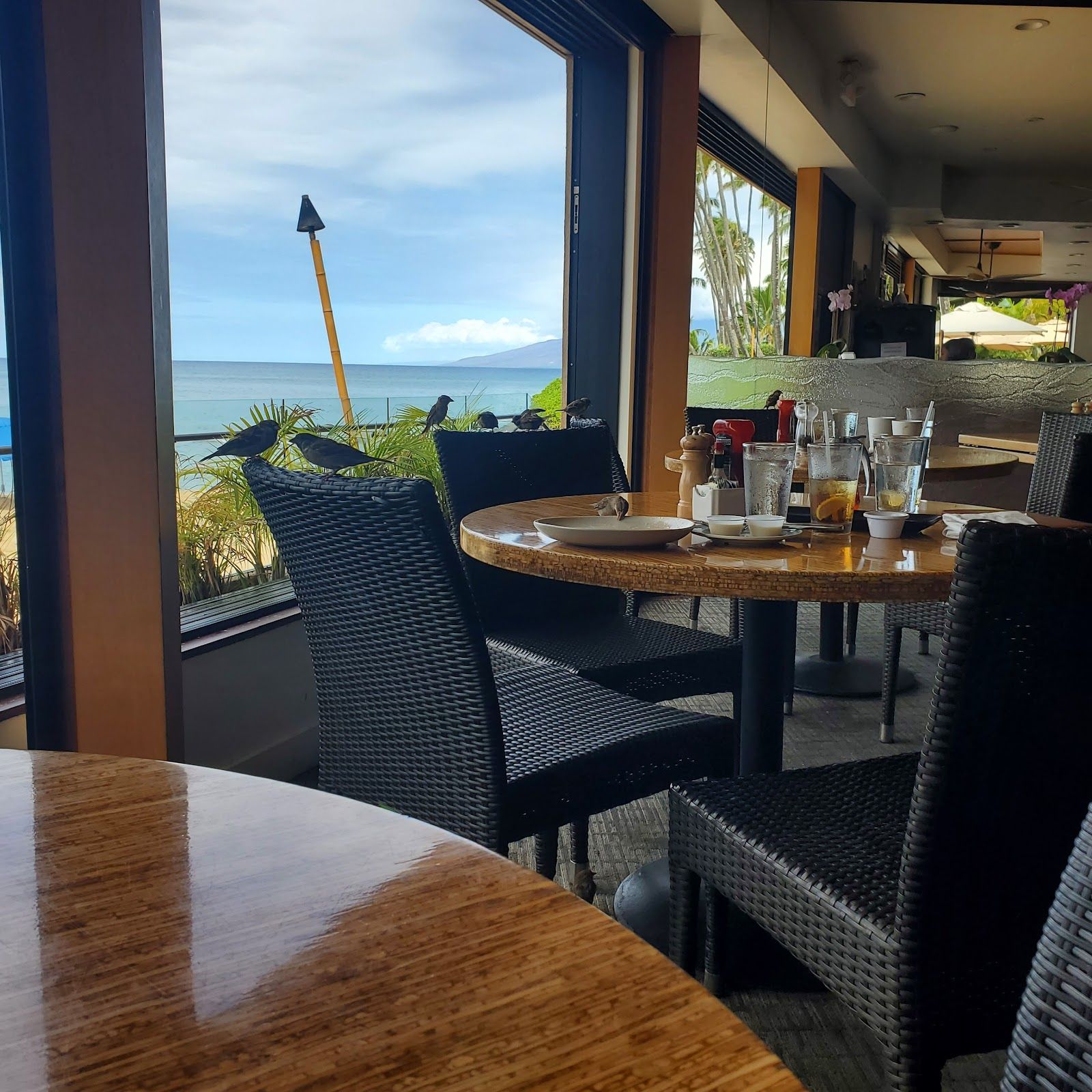 Photo 6 of Sea House Restaurant in Kapalua, Maui