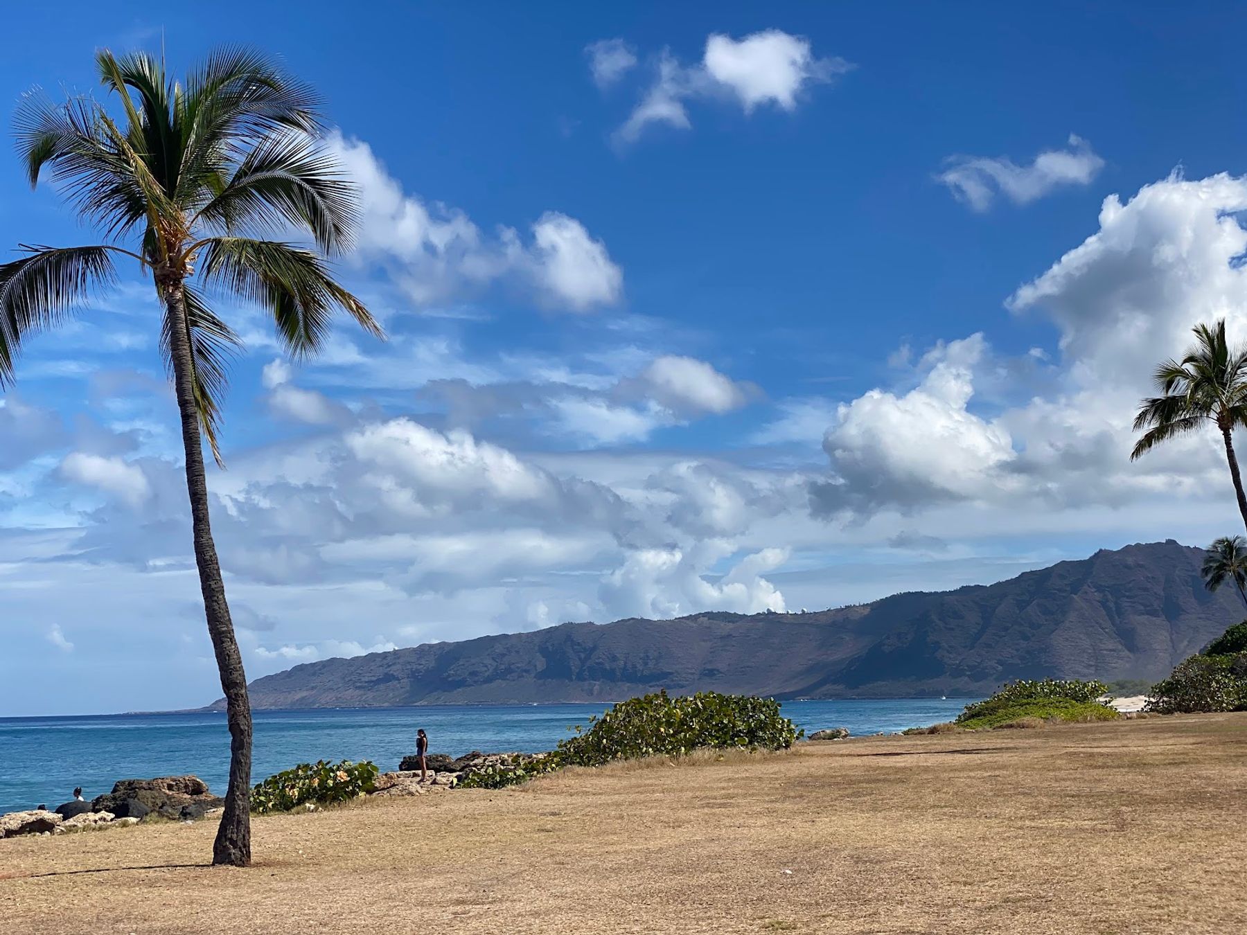 Photo 2 of Keaʻau Beach Park in Waiʻanae Coast, Oahu