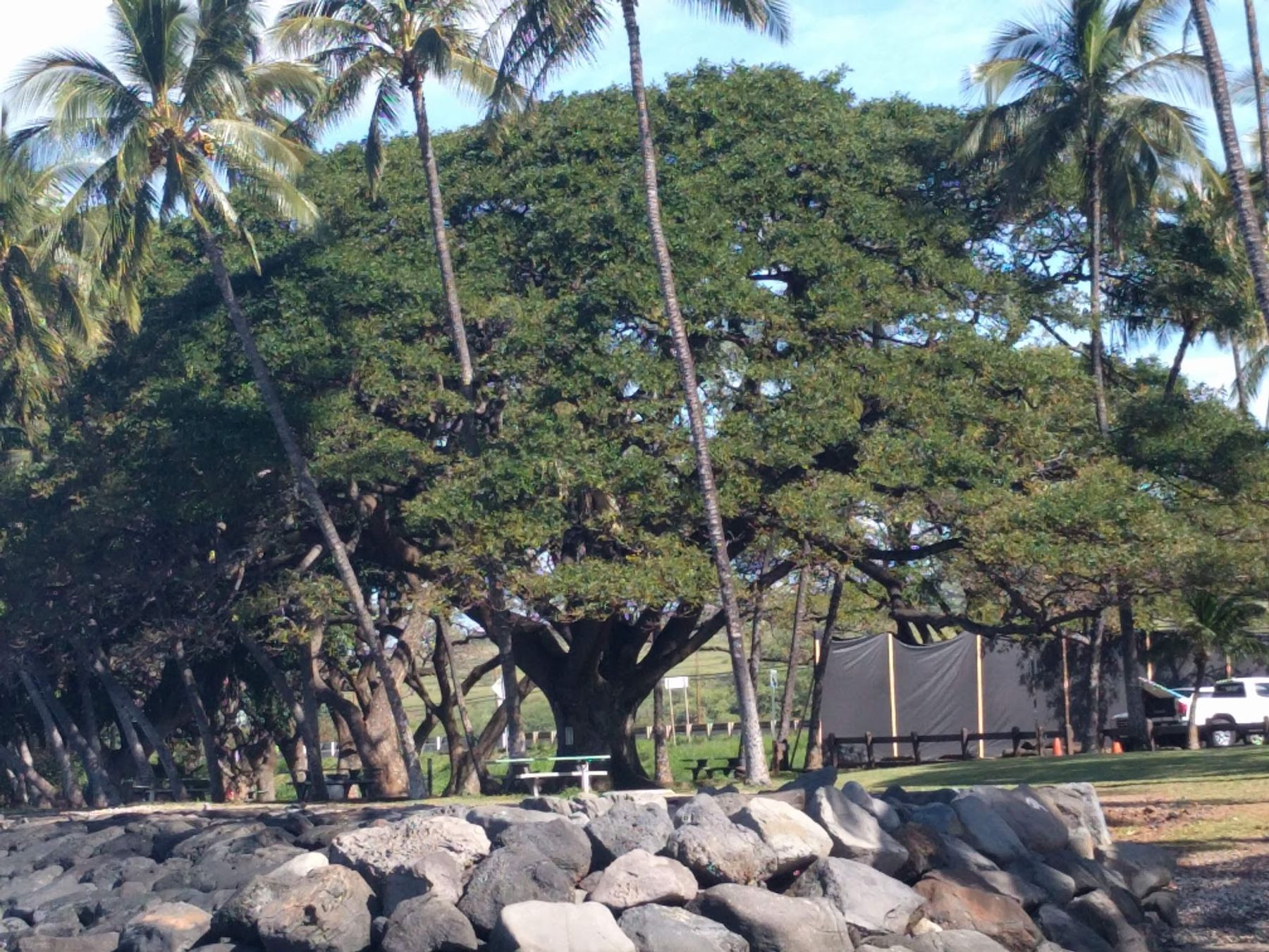 Photo 8 of Launiupoko Beach Park in Lāhainā, Maui