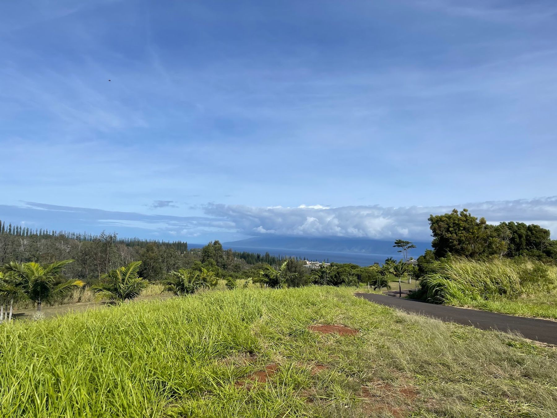 Photo 7 of Mahana Ridge Trail in Kapalua, Maui