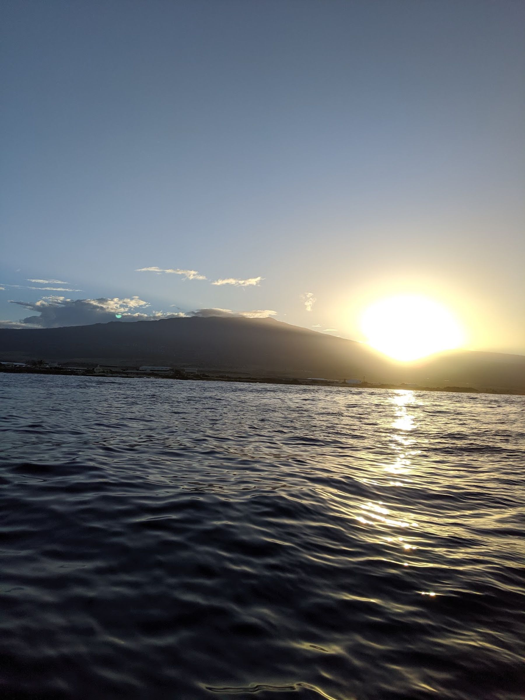 Photo 3 of Captain Dan McSweeney's Whale Watching Adventures in Kailua-Kona, Big Island