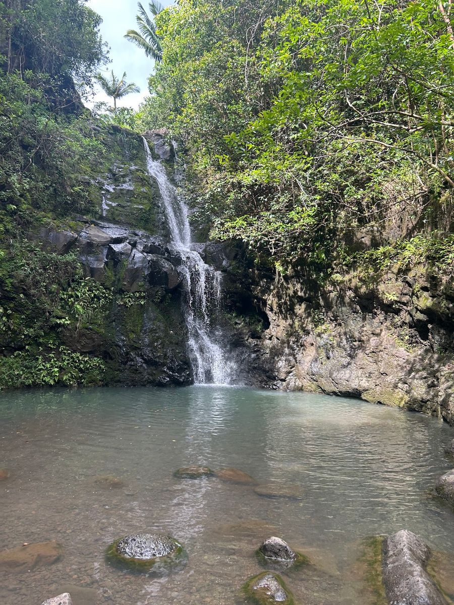 Photo 1 of Waimano Falls in Pearl City, Oahu
