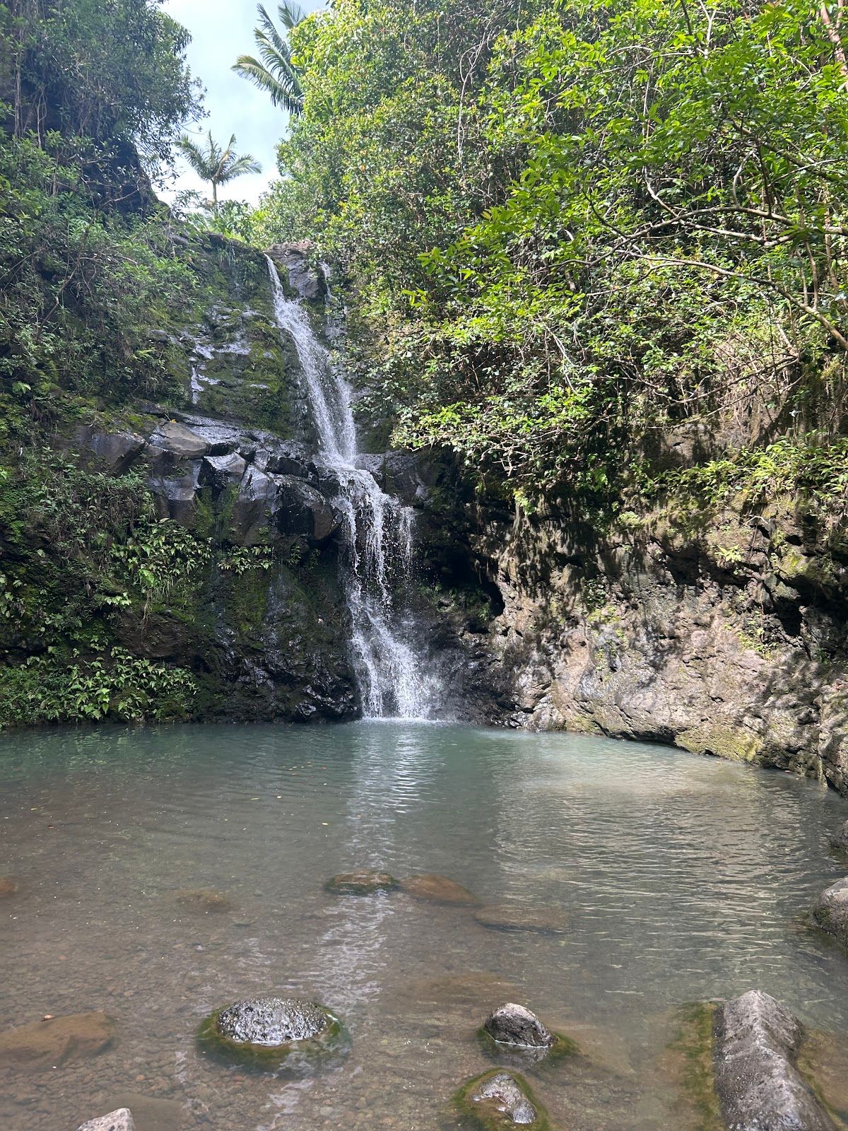 Photo 1 of Waimano Falls in Pearl City, Oahu