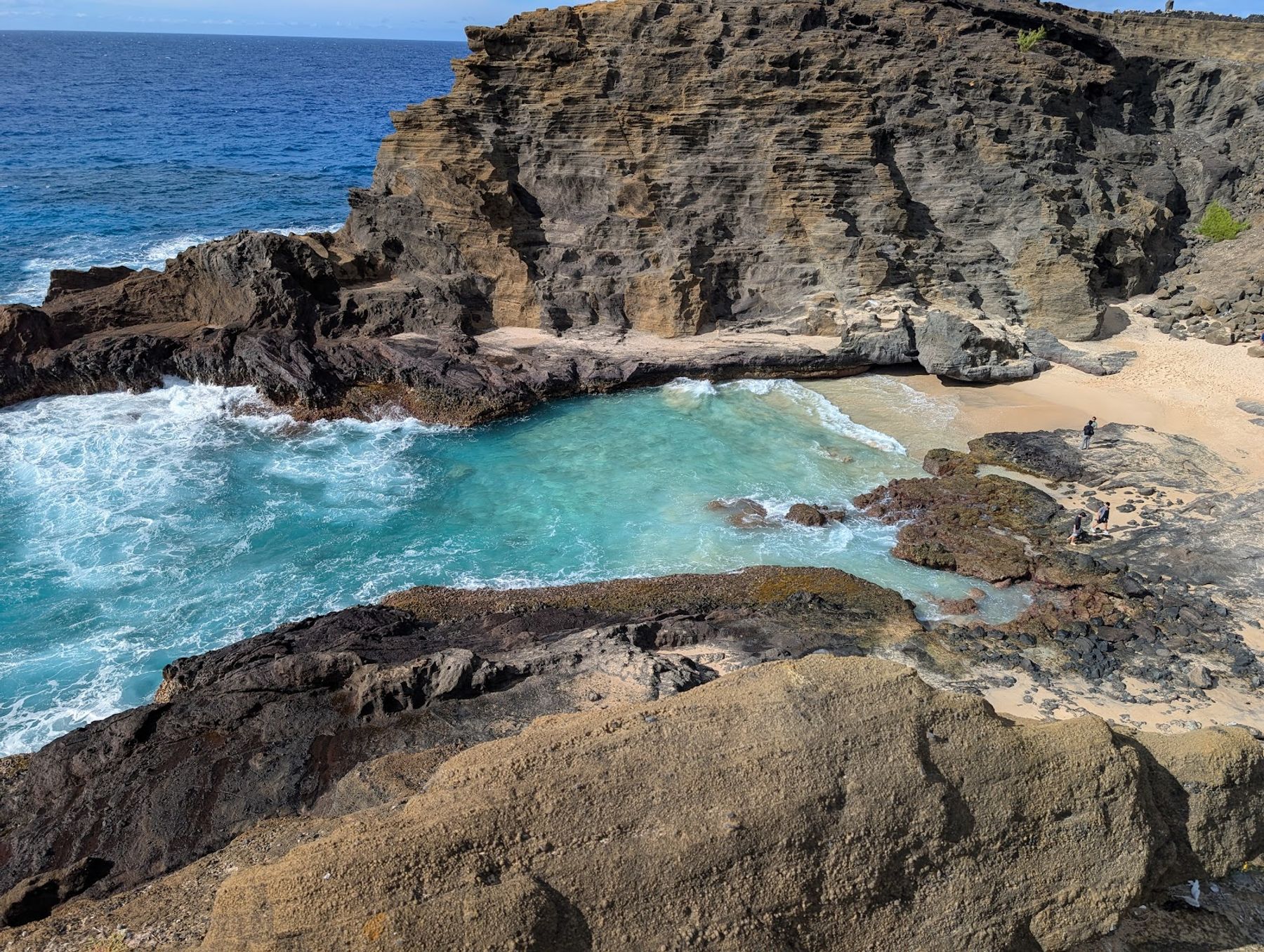 Photo 2 of Hawaii Turtle Tours in Ala Moana & Mōʻiliʻili, Oahu