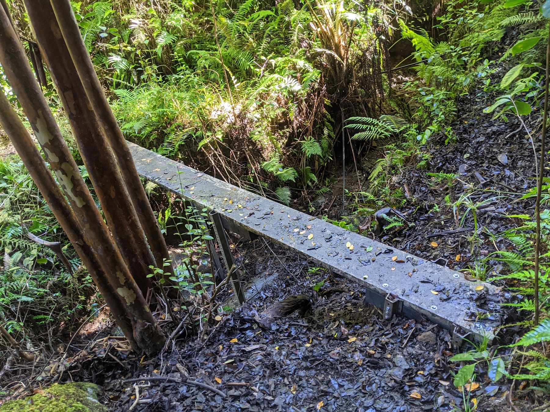Nuʻalolo Trail in Waimea, Kaua‘i photo 7