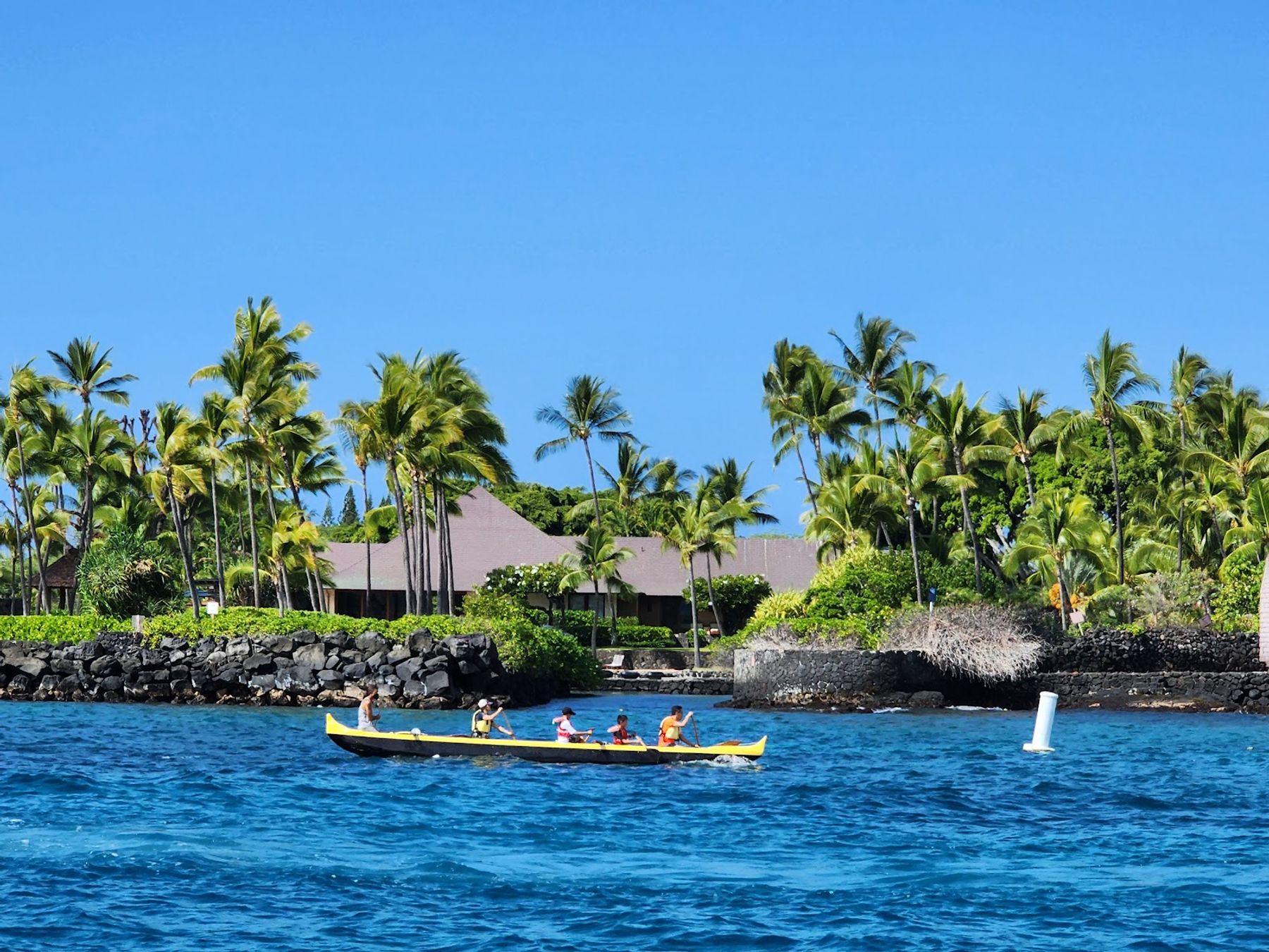 Photo 7 of Atlantis Submarines Kona in Kailua-Kona, Big Island