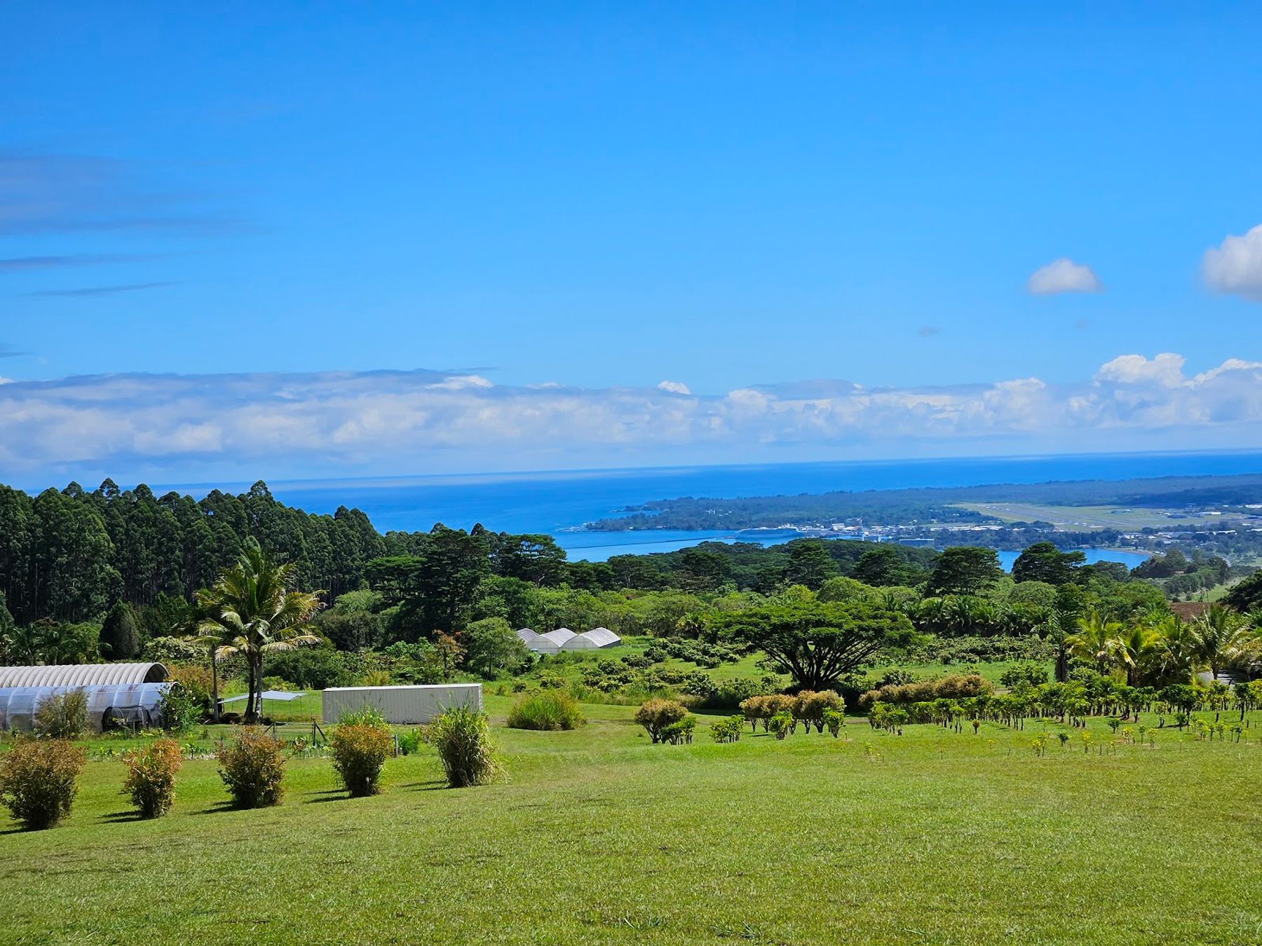 Photo 4 of Lavaloha Chocolate - Farm Tours in Hilo, Big Island