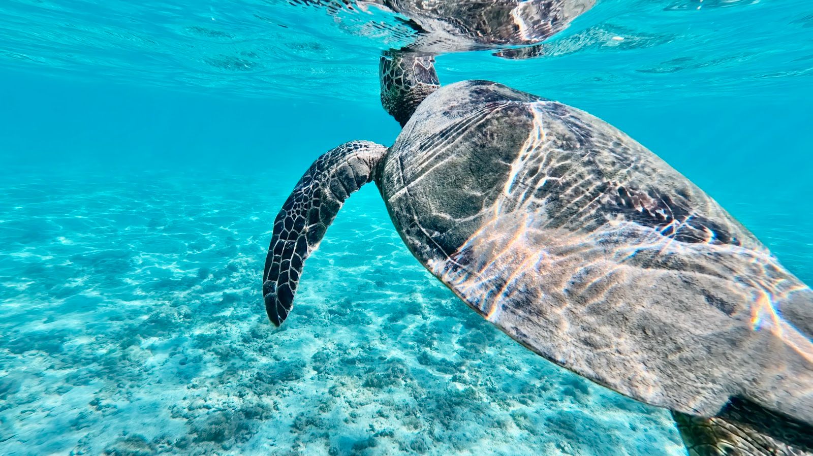 Anini Beach in Princeville, Kaua‘i photo 5