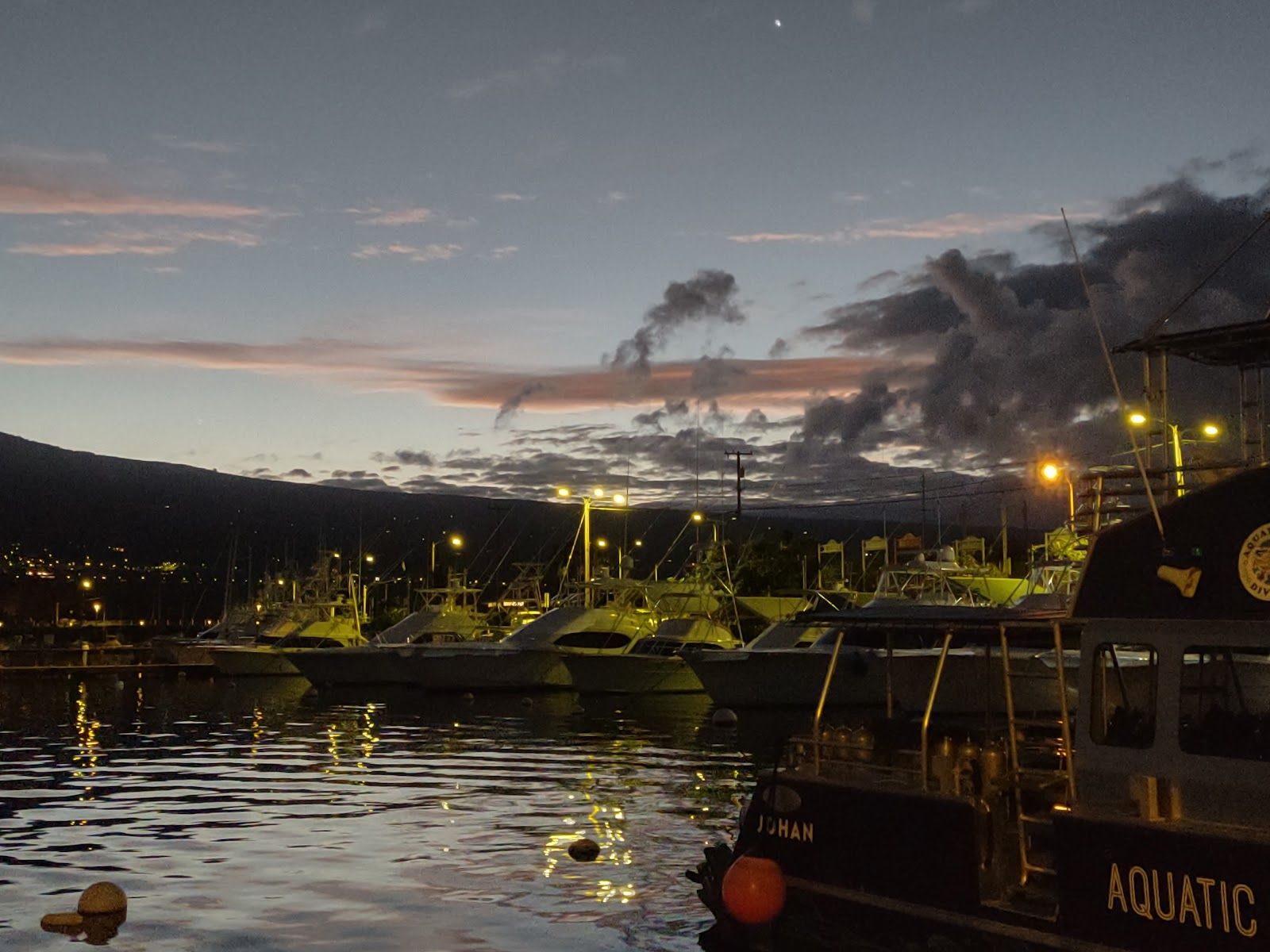 Photo 8 of Captain Dan McSweeney's Whale Watching Adventures in Kailua-Kona, Big Island
