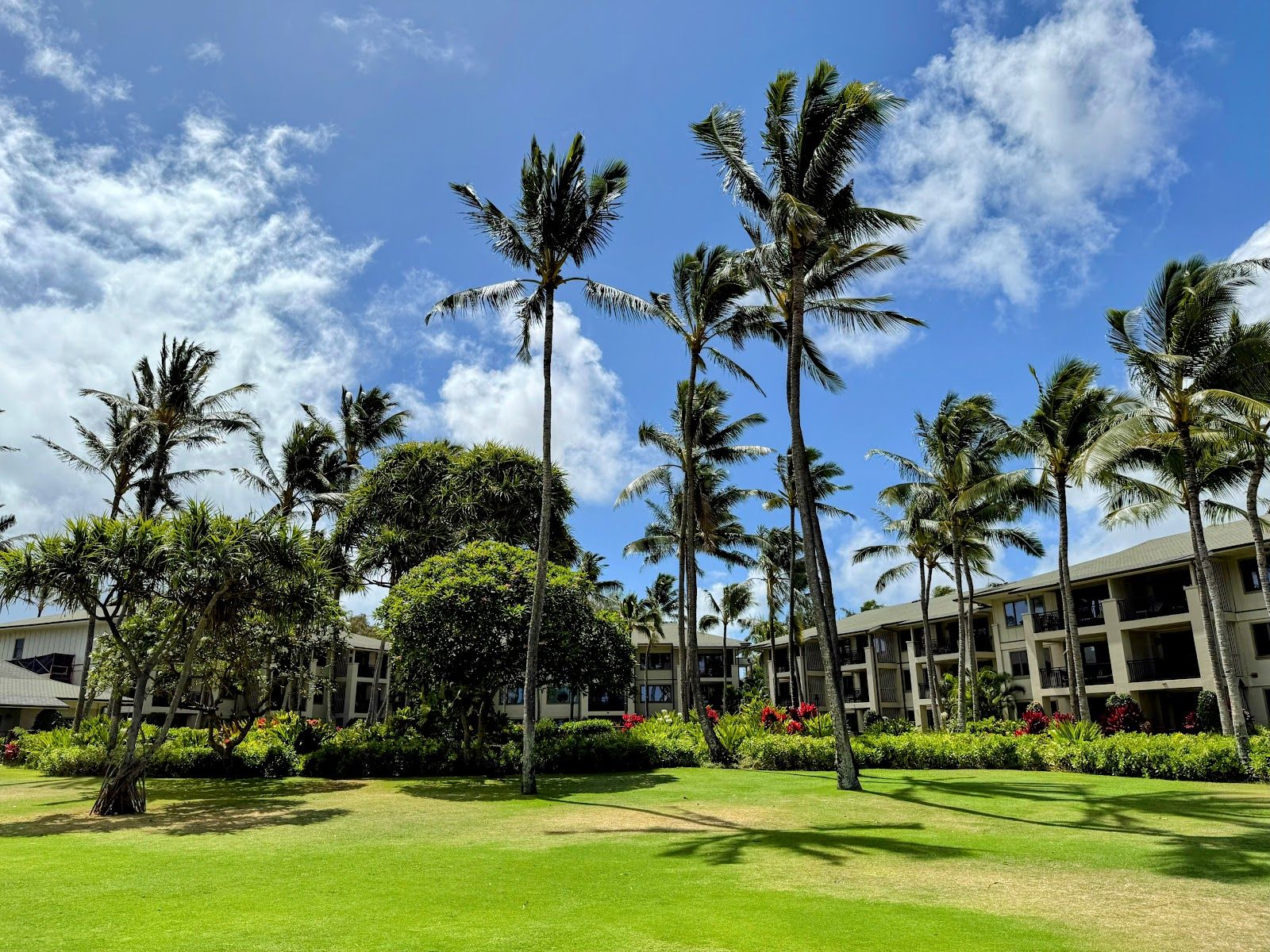 Photo 3 of Turtle Beach in Kahuku & Turtle Bay, Oahu