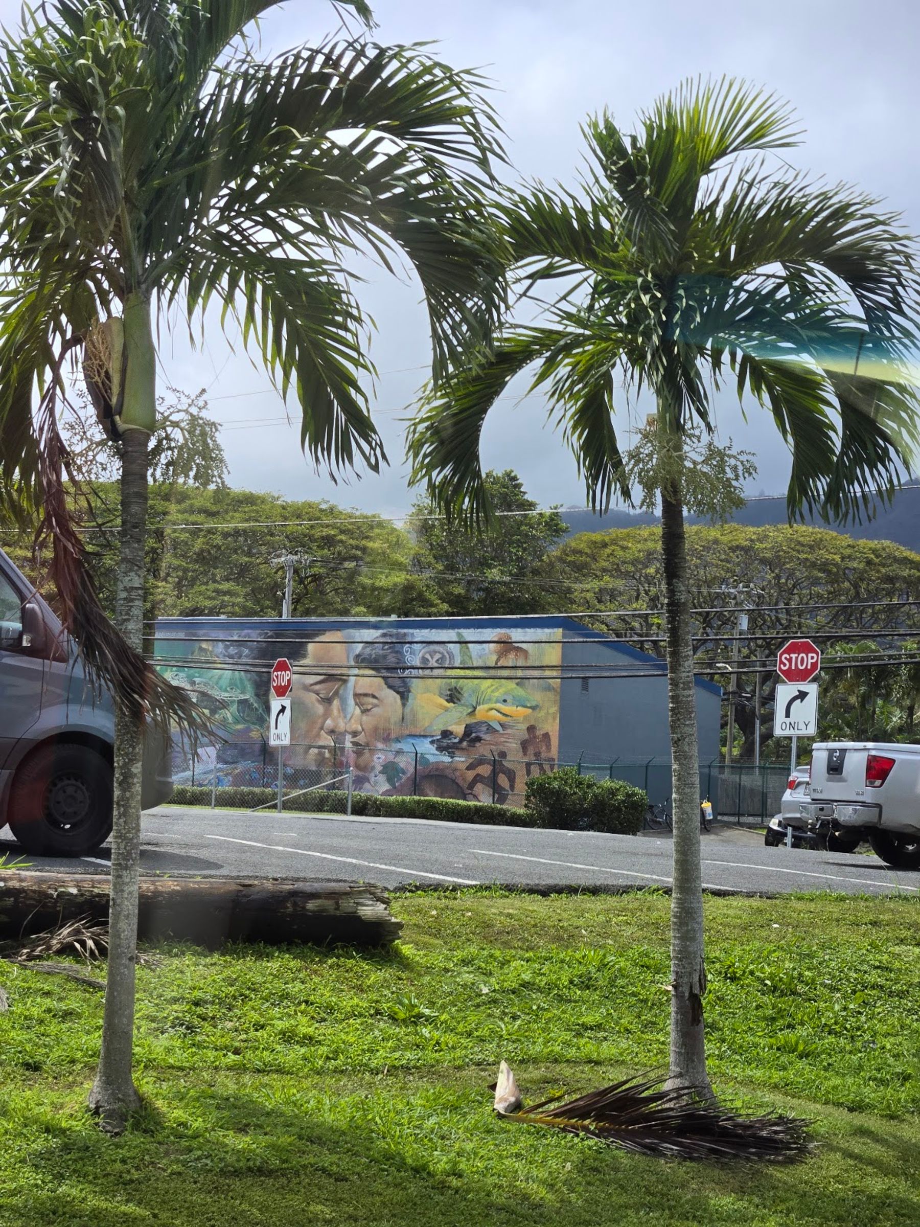 Photo 5 of Best Oahu Tours by AYC in Waikīkī, Oahu