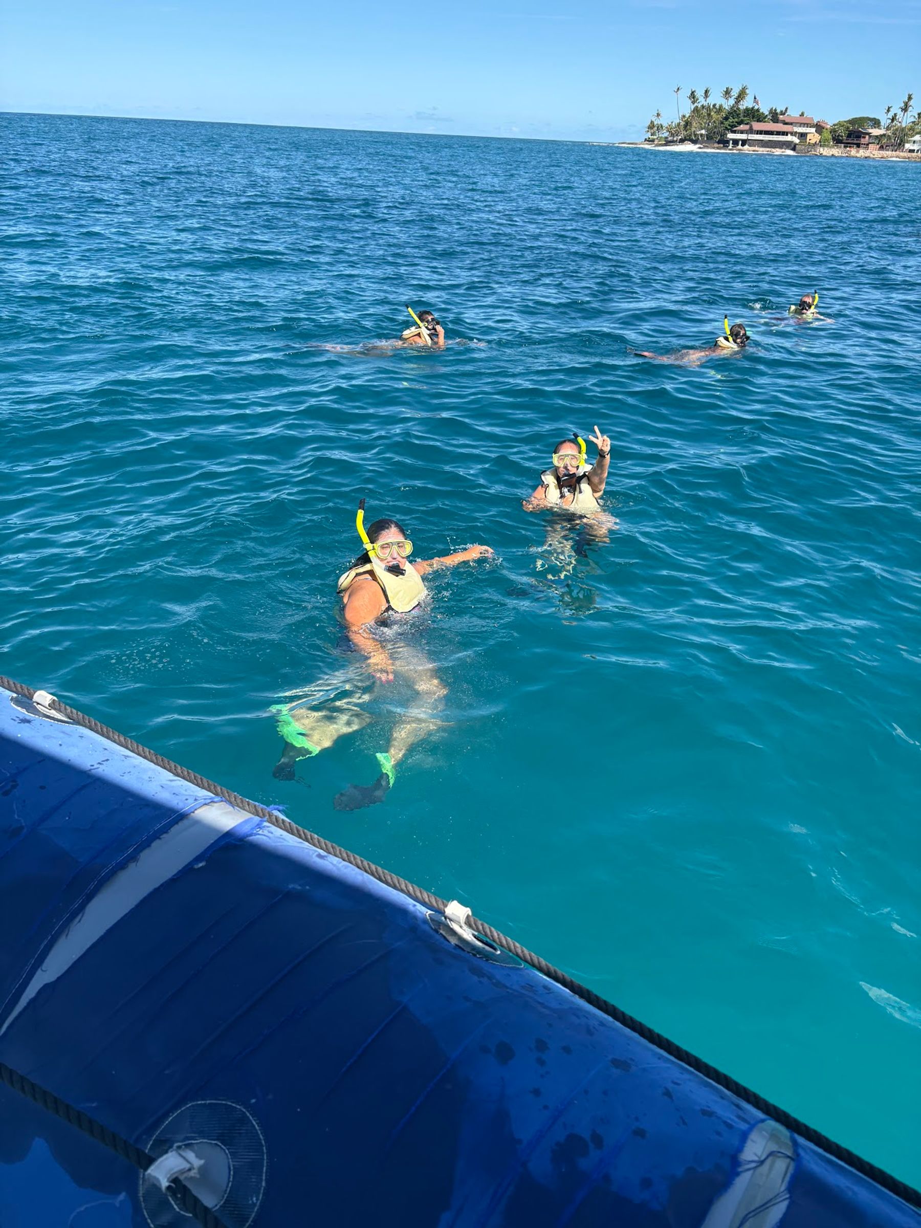 Photo 2 of Iruka Hawaii Dolphin Snorkeling Tours in Ala Moana & Mōʻiliʻili, Oahu