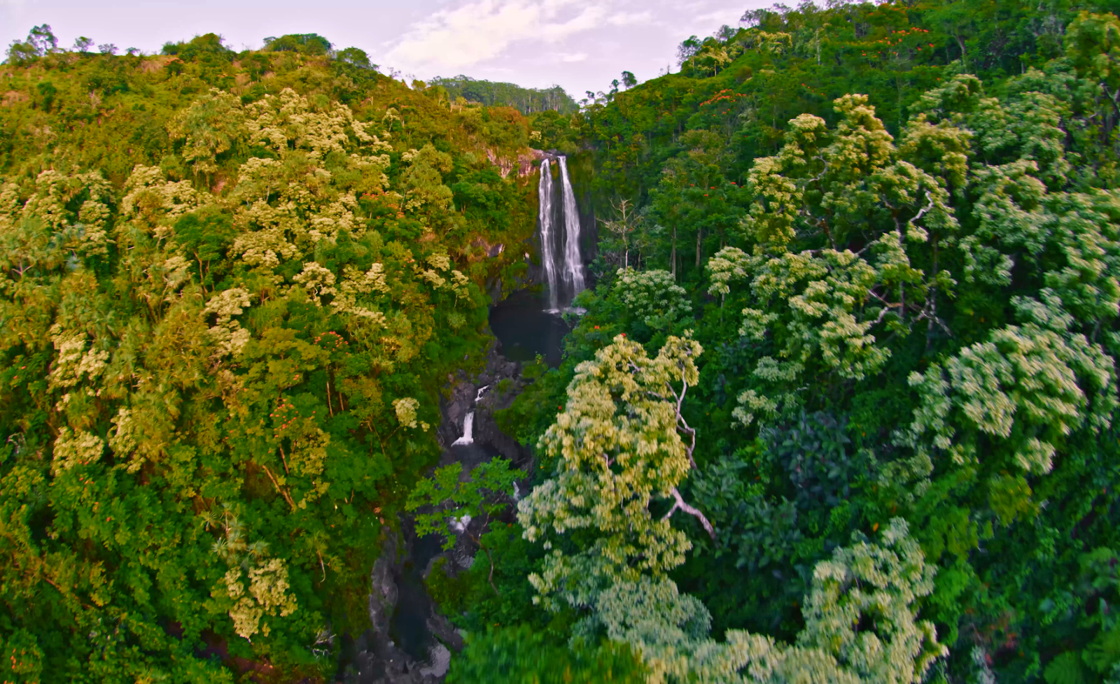 Photo 5 of Flight of Aloha in Kailua-Kona, Big Island