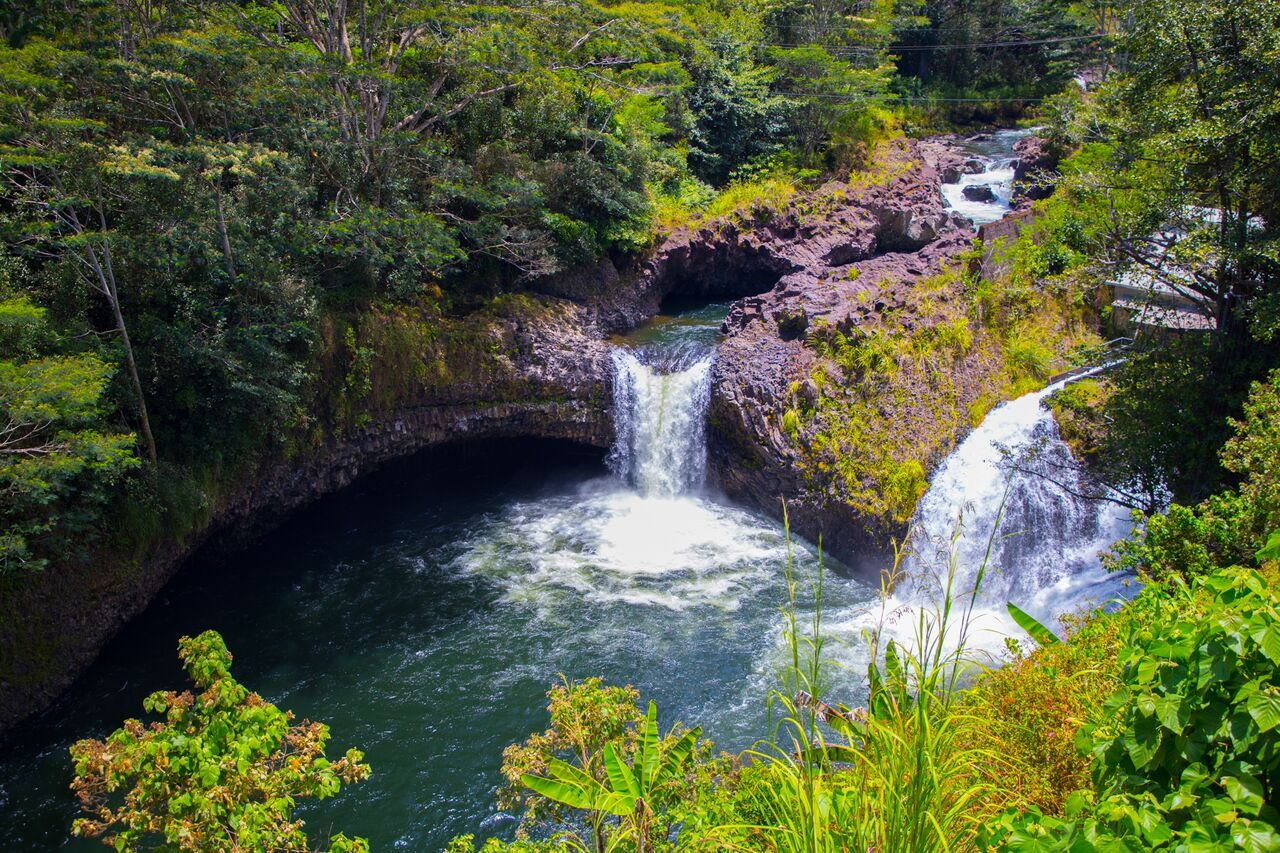 Photo 3 of O.K. Farms Hawai'i in Hilo, Big Island