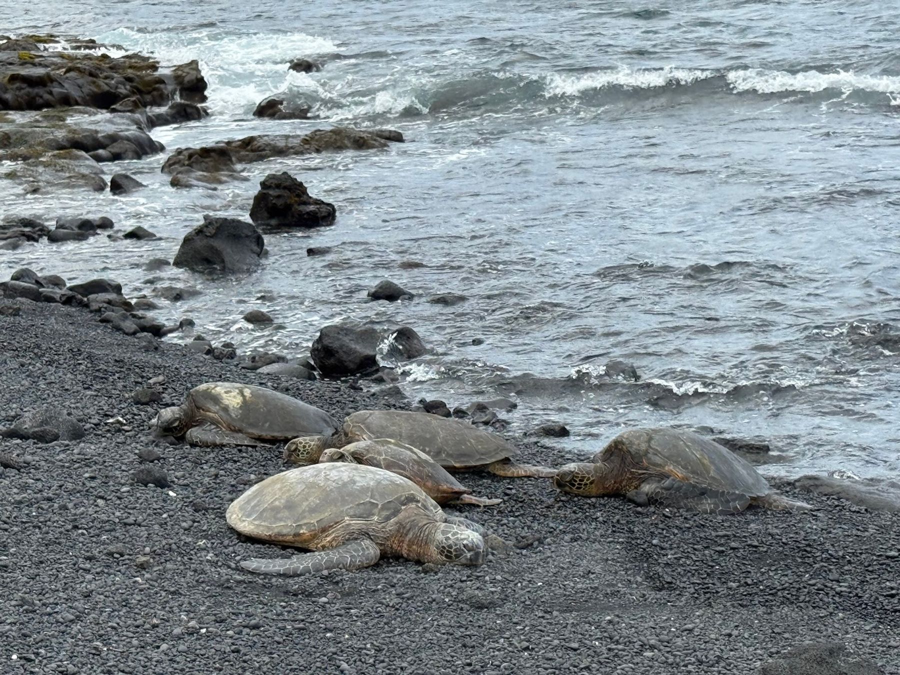 Photo 5 of Show You Hawaii in Kailua-Kona, Big Island