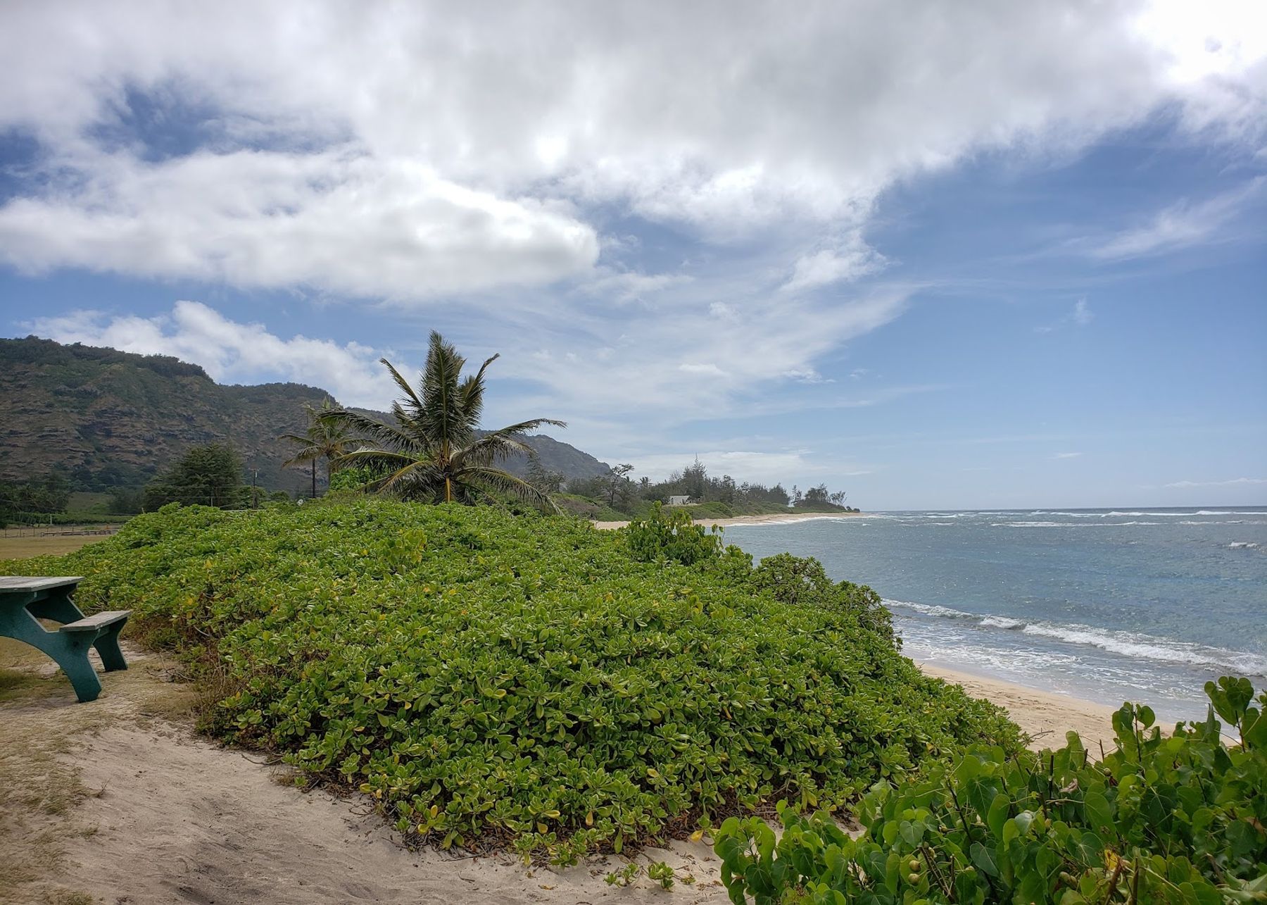 Photo 10 of Mokulēʻia Beach Park in Waialua & Mokulēʻia, Oahu