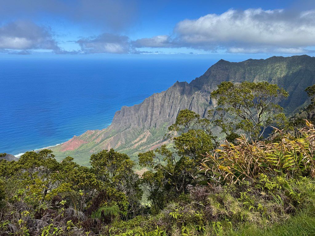 Overlook of Kalalau Valley with steep Nā Pali cliffs, blue ocean, scattered clouds, and lush foreground vegetation on Kauaʻi
