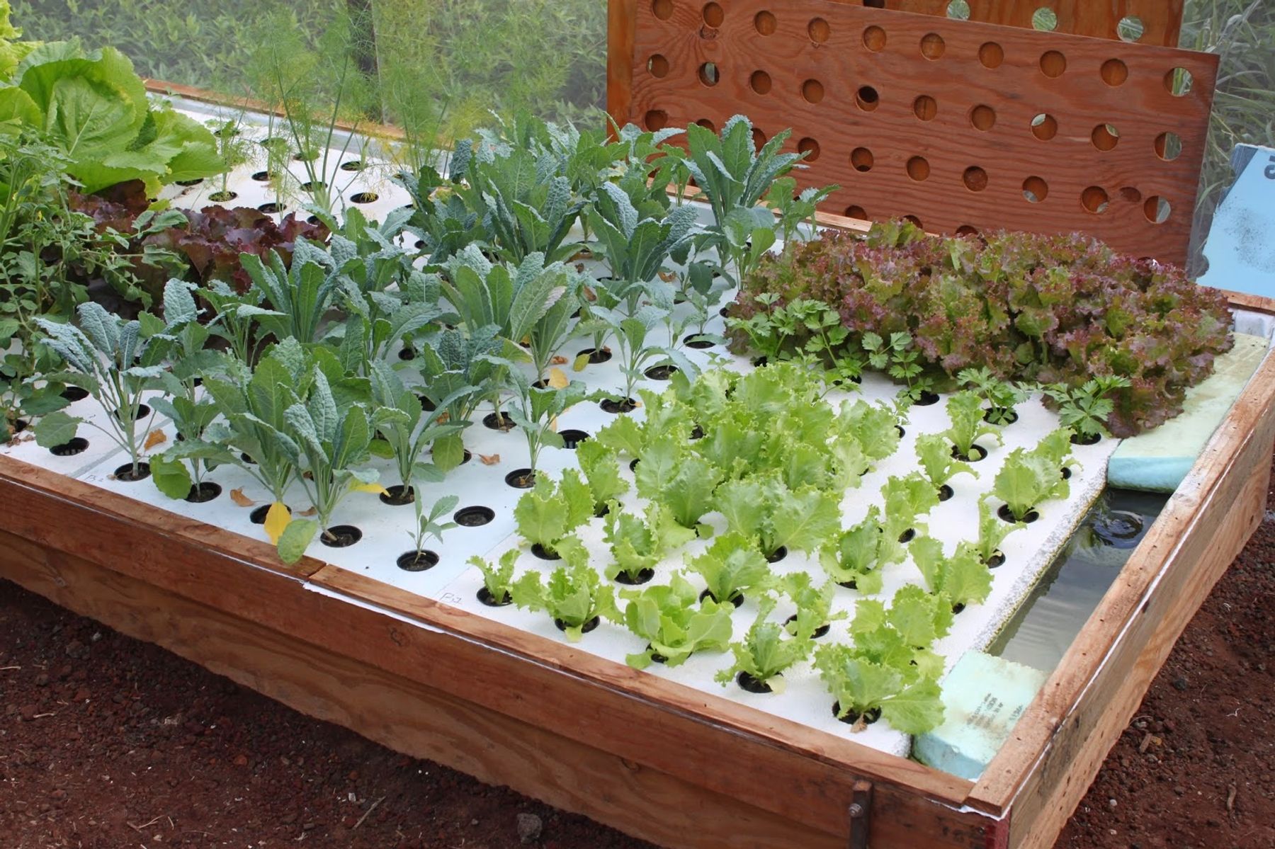 Photo 1 of Paradise Meadows Orchard and Bee Farm, Home of Hawaii's Local Buzz in South Point, Big Island