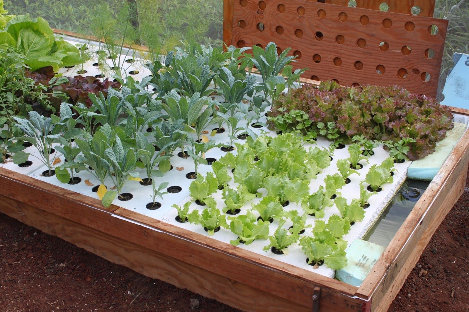 Photo 1 of Paradise Meadows Orchard and Bee Farm, Home of Hawaii's Local Buzz in South Point, Big Island