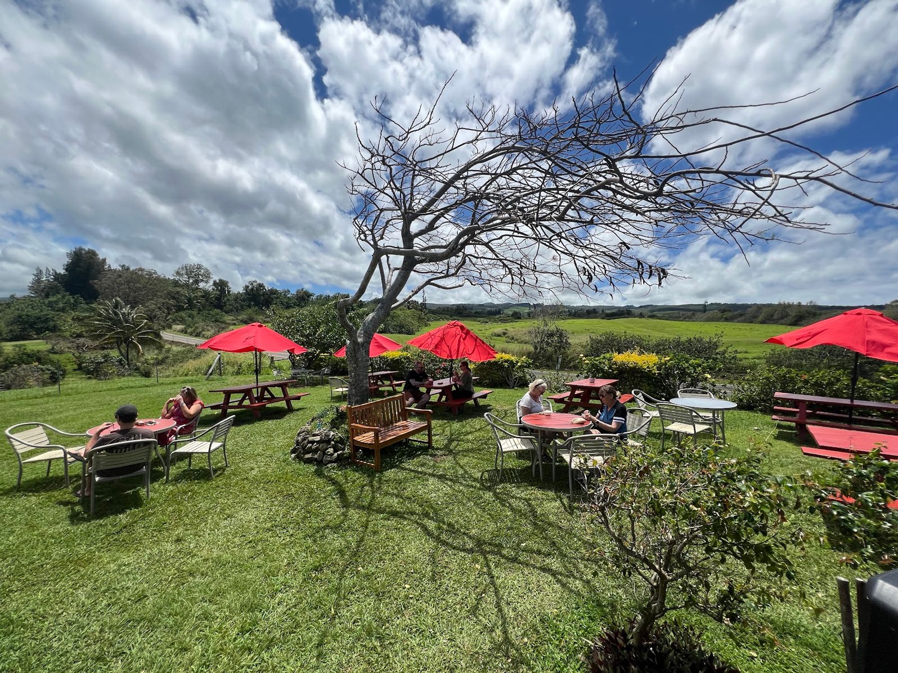 Photo 8 of Fresh Off the Grid, Kohala. in North Kohala, Big Island