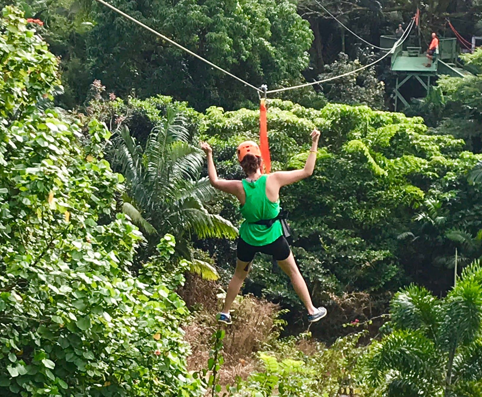 Photo 2 of Jungle Zipline Maui-HI in Haʻikū, Maui
