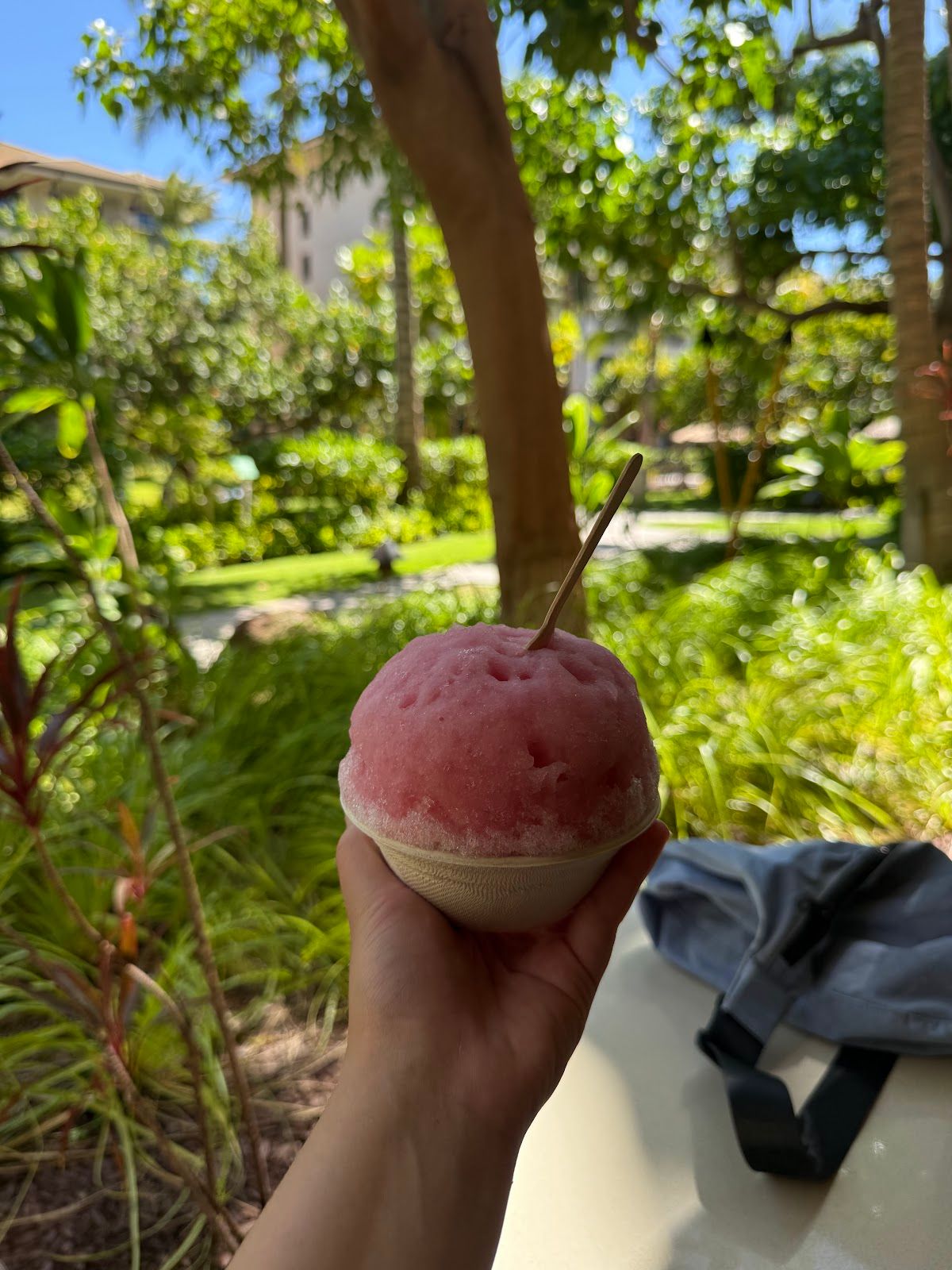 Photo 7 of Big Wave Shave Ice Company - Nanea in Kāʻanapali, Maui