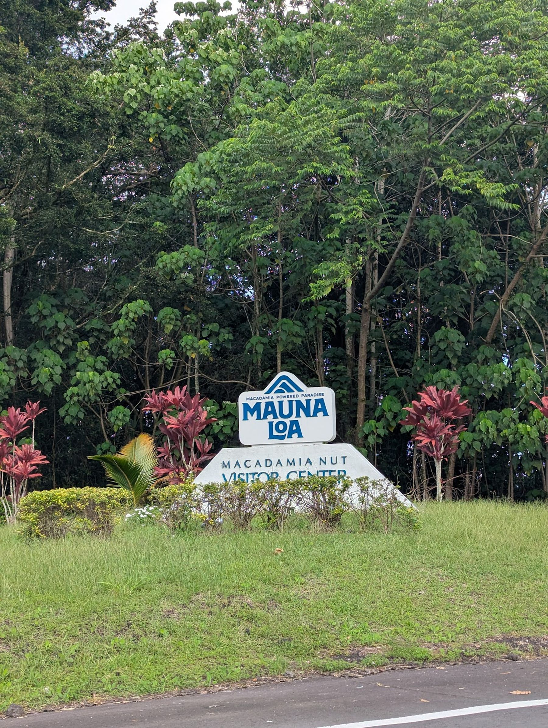 Photo 3 of Mauna Loa Macadamia Nut Visitor Center in Pāhoa, Big Island