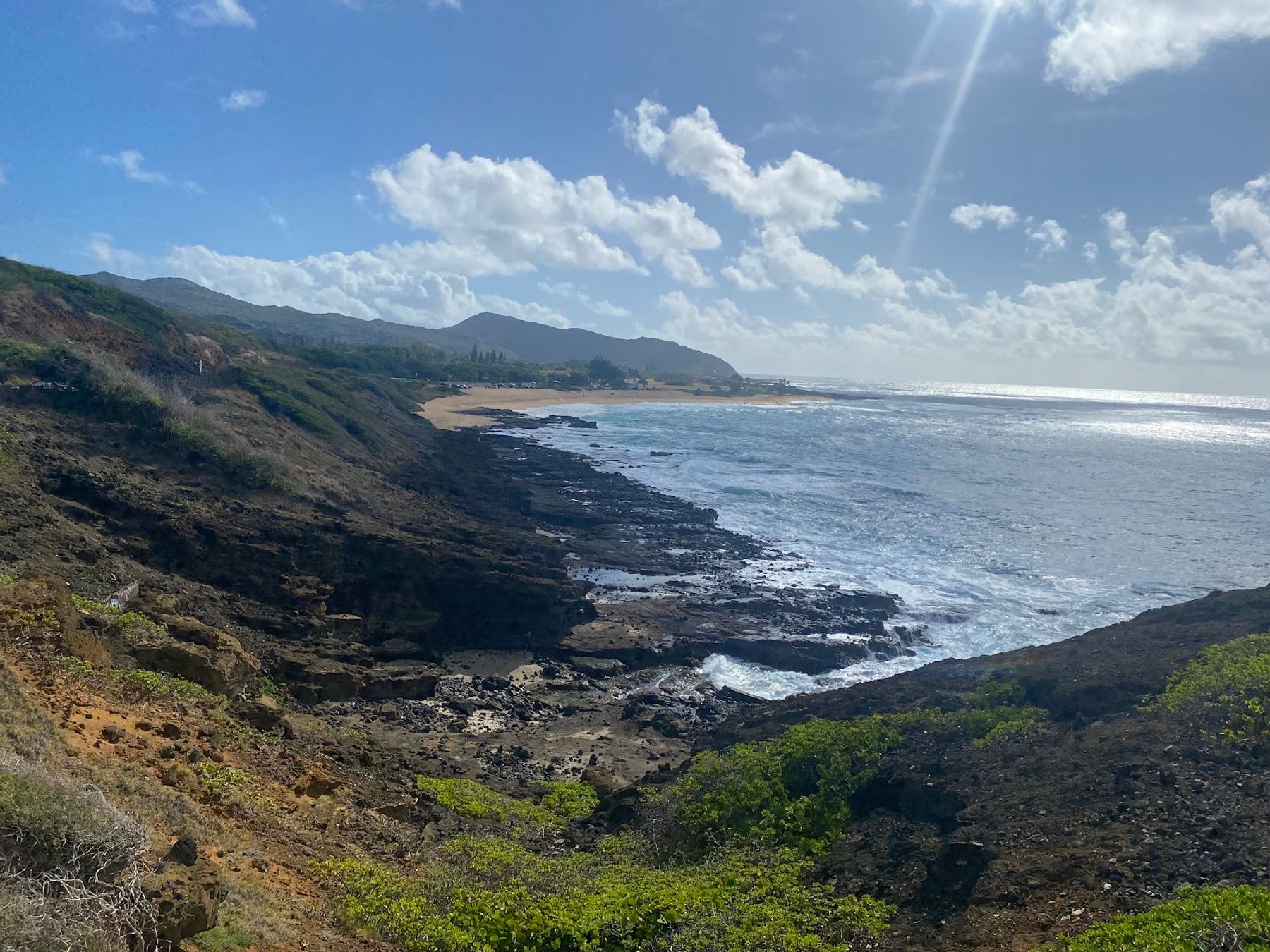 Photo 3 of Hawaii Turtle Tours in Ala Moana & Mōʻiliʻili, Oahu