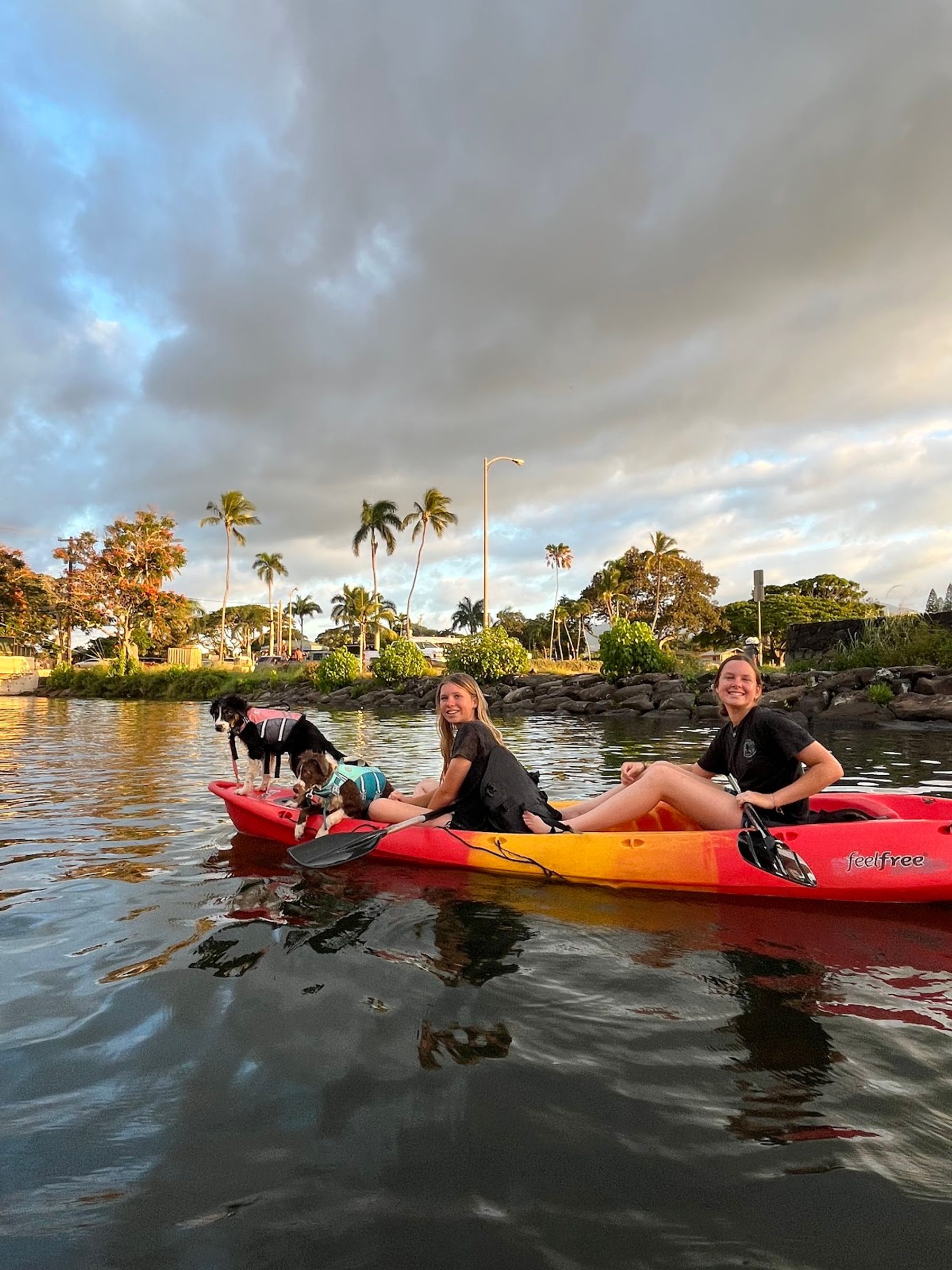 Photo 5 of Rainbow Watersports in Haleʻiwa, Oahu