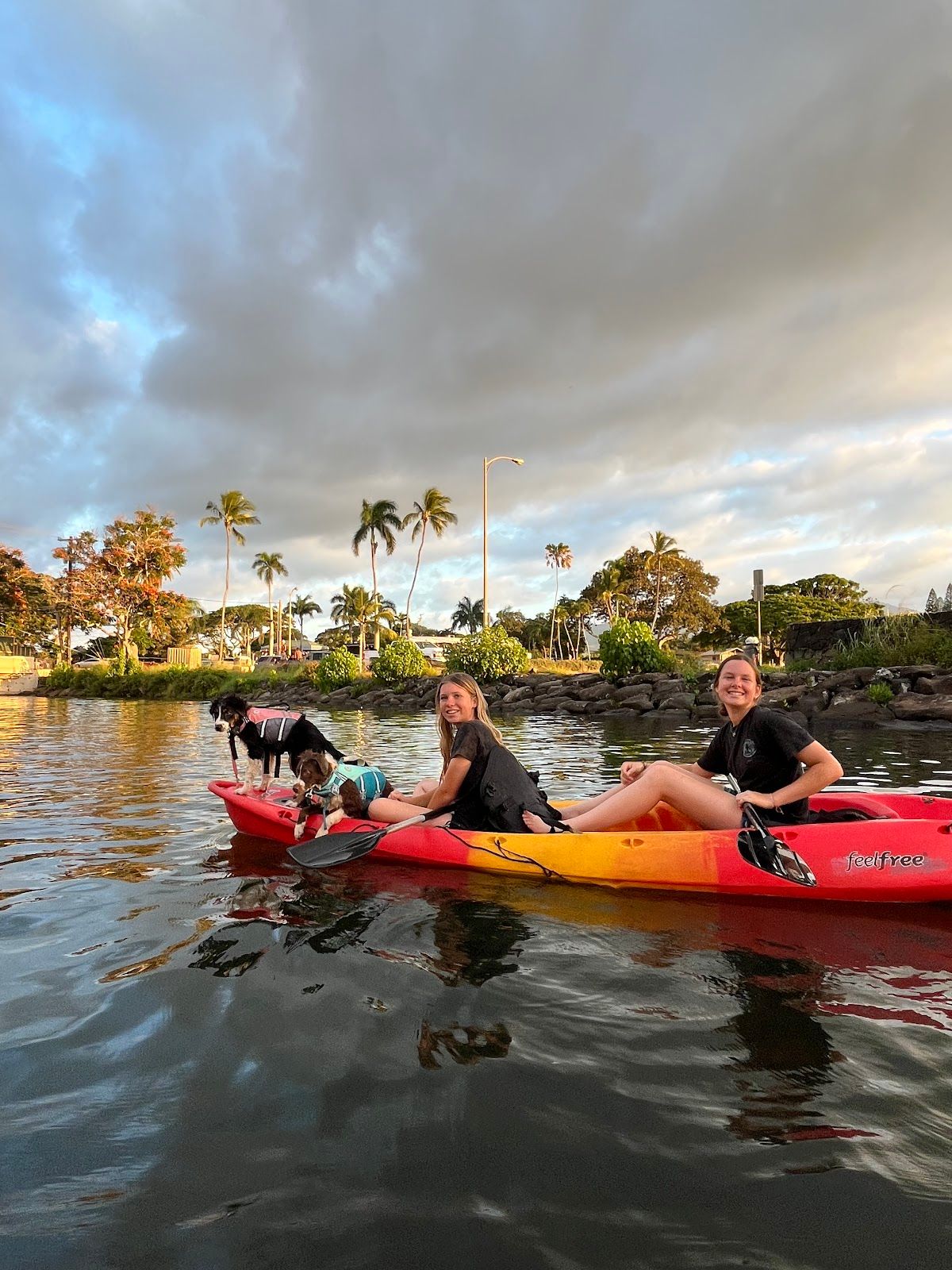 Photo 5 of Rainbow Watersports in Haleʻiwa, Oahu