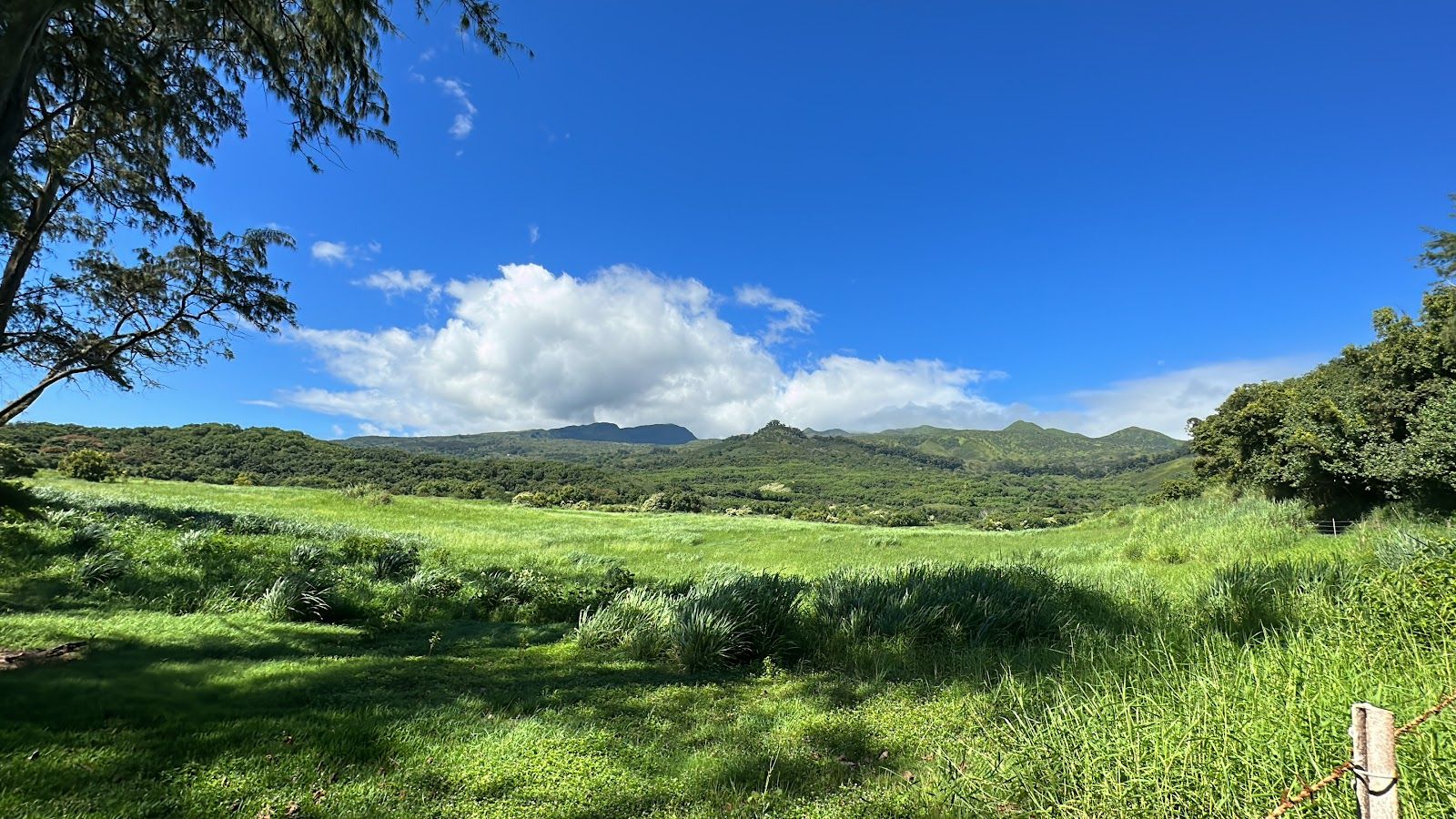 Photo 5 of Koki Beach Park in Hāna, Maui