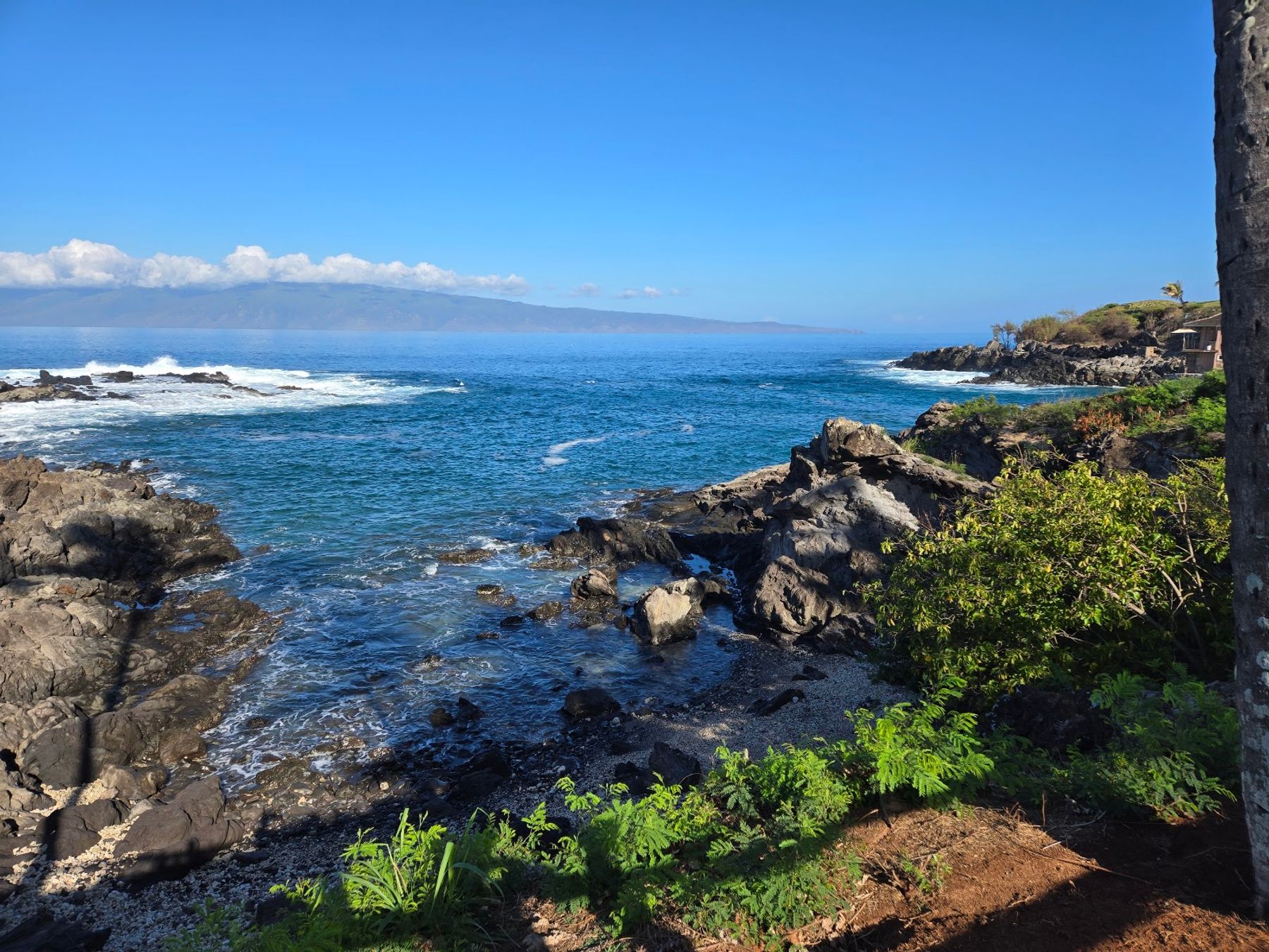 Photo 7 of Kapalua Coastal Trail in Kapalua, Maui