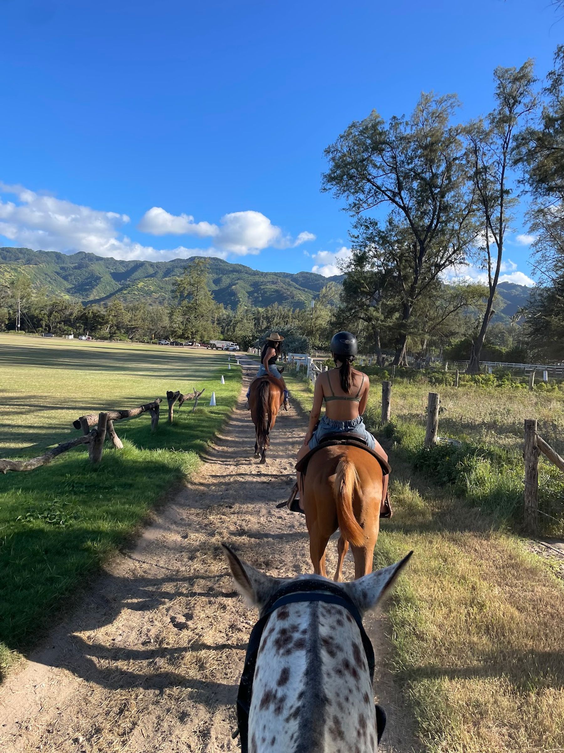 Photo 7 of Hawaii Polo Oceanfront Trail Rides in Waialua & Mokulēʻia, Oahu