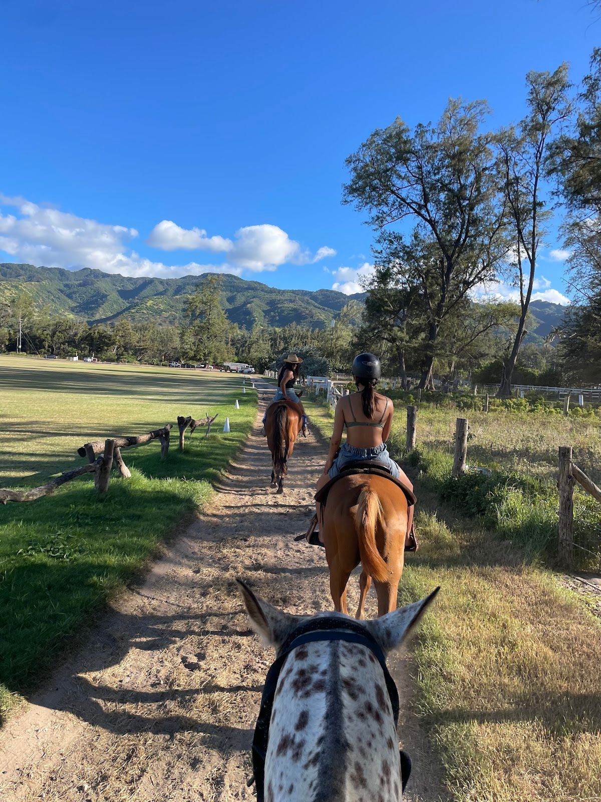 Photo 7 of Hawaii Polo Oceanfront Trail Rides in Waialua & Mokulēʻia, Oahu