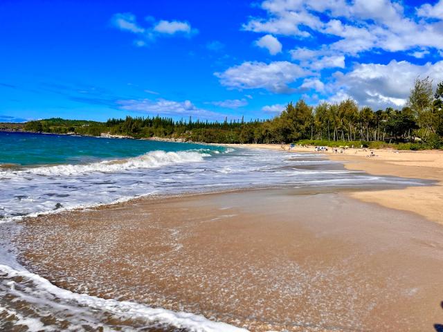 Photo 1 of D.T. Fleming Beach Park in Kapalua, Maui