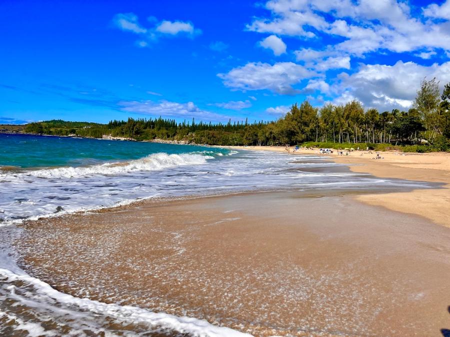 Photo 1 of D.T. Fleming Beach Park in Kapalua, Maui