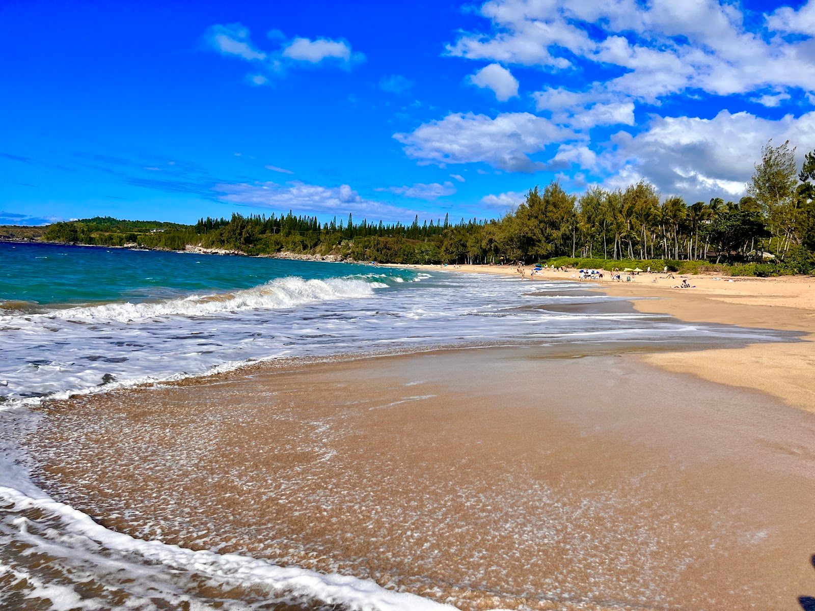 Photo 1 of D.T. Fleming Beach Park in Kapalua, Maui