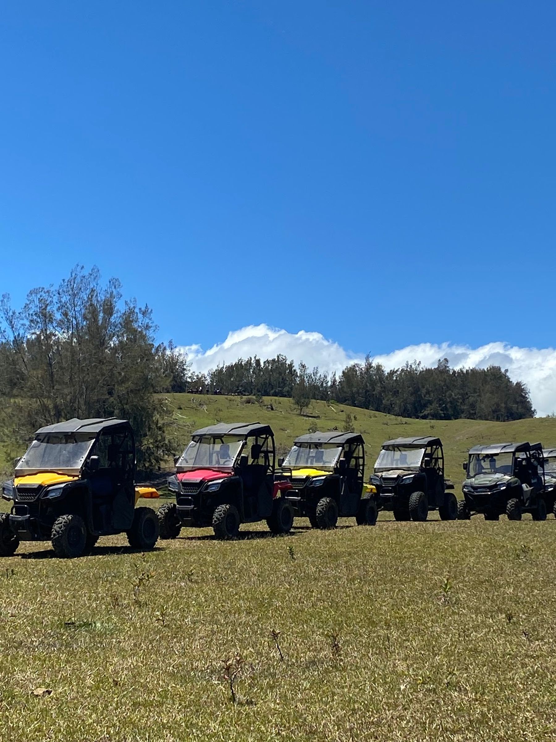 Photo 5 of All About the View ATV UTV Scenic Tour in Waipiʻo, Big Island