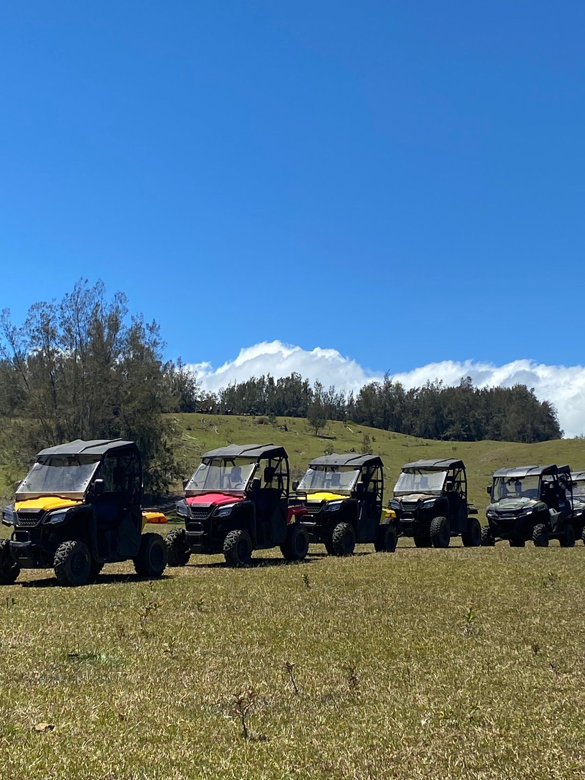 Photo 5 of All About the View ATV UTV Scenic Tour in Waipiʻo, Big Island