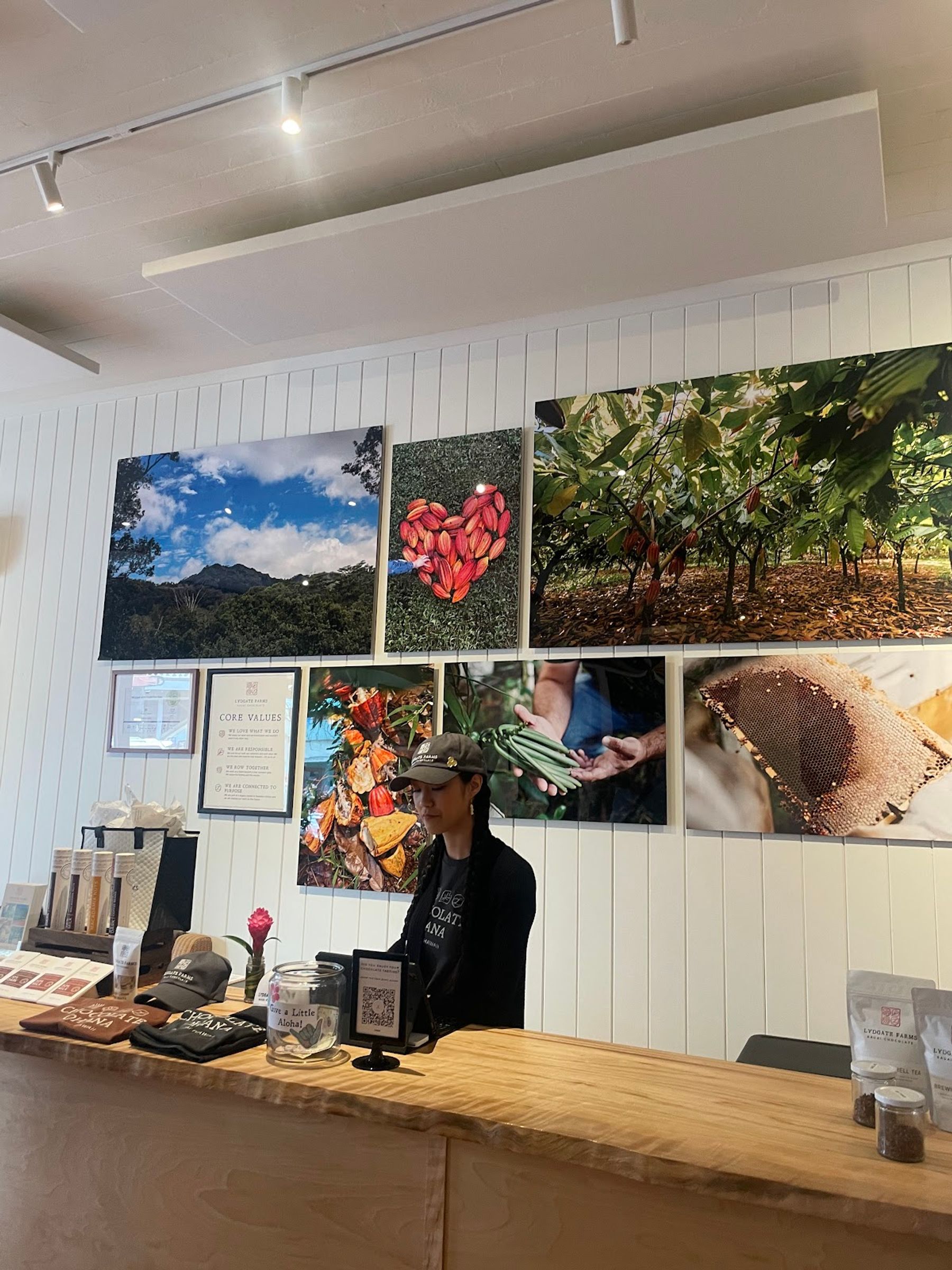 Photo 9 of Lydgate Chocolate Tasting Room in Wailua, Kauai