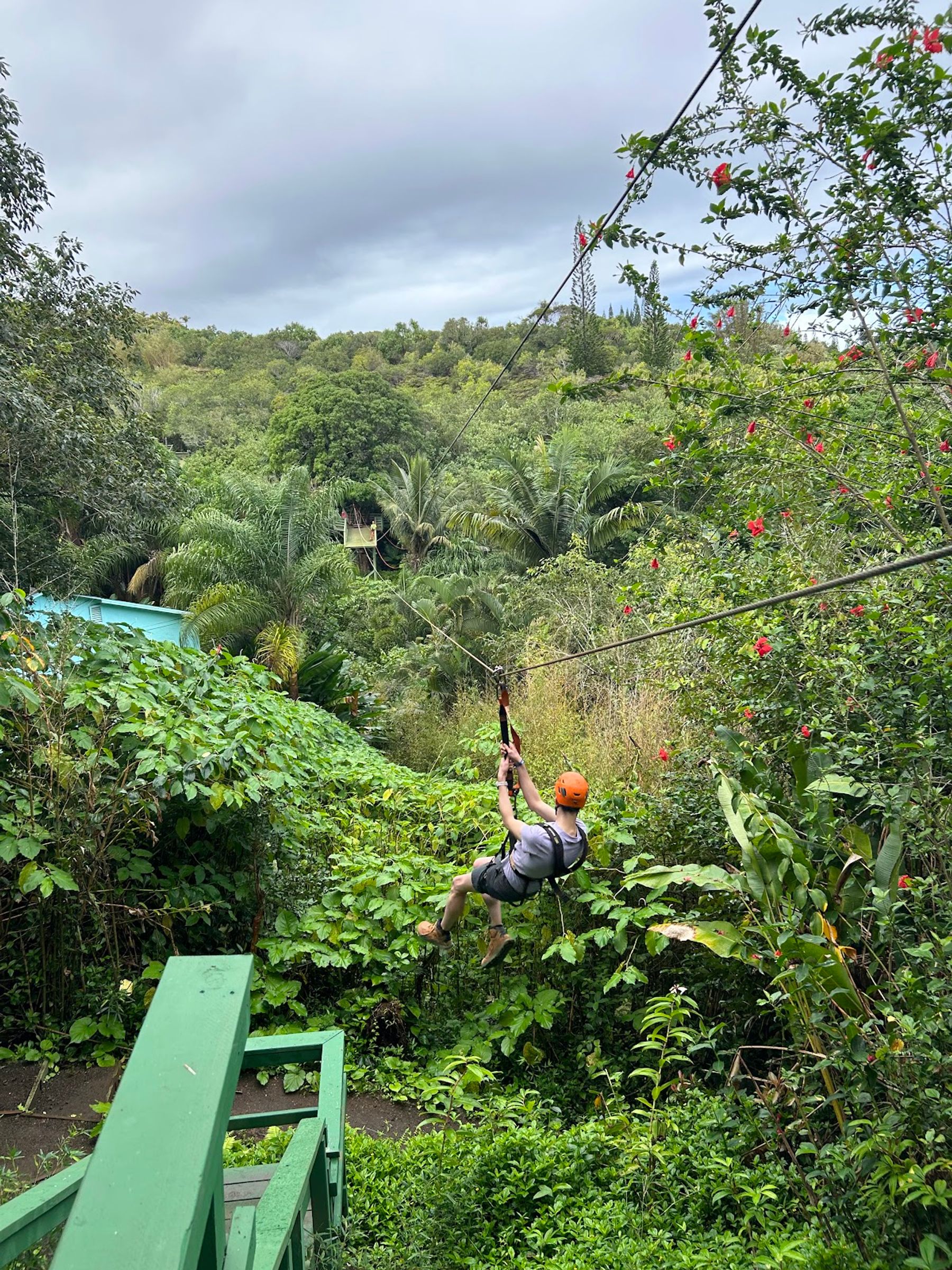 Photo 5 of Jungle Zipline Maui-HI in Haʻikū, Maui