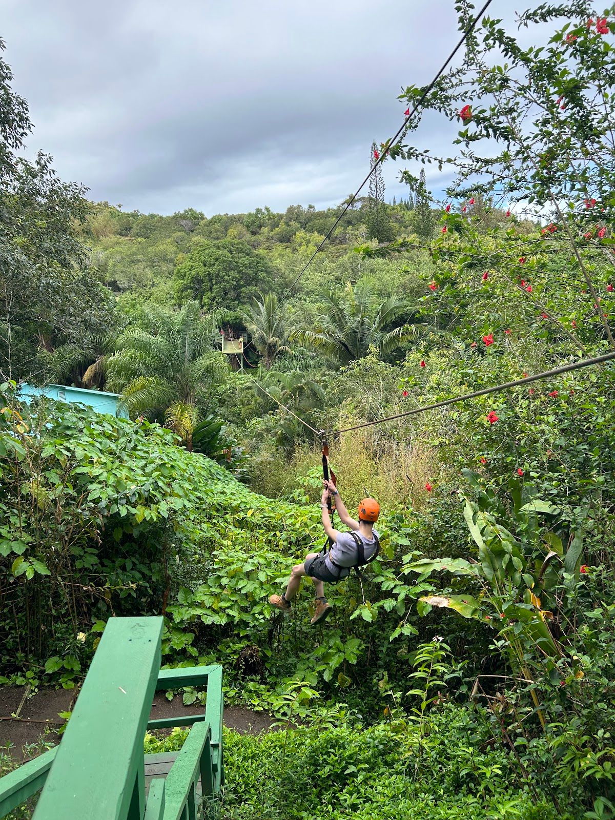 Photo 5 of Jungle Zipline Maui-HI in Haʻikū, Maui