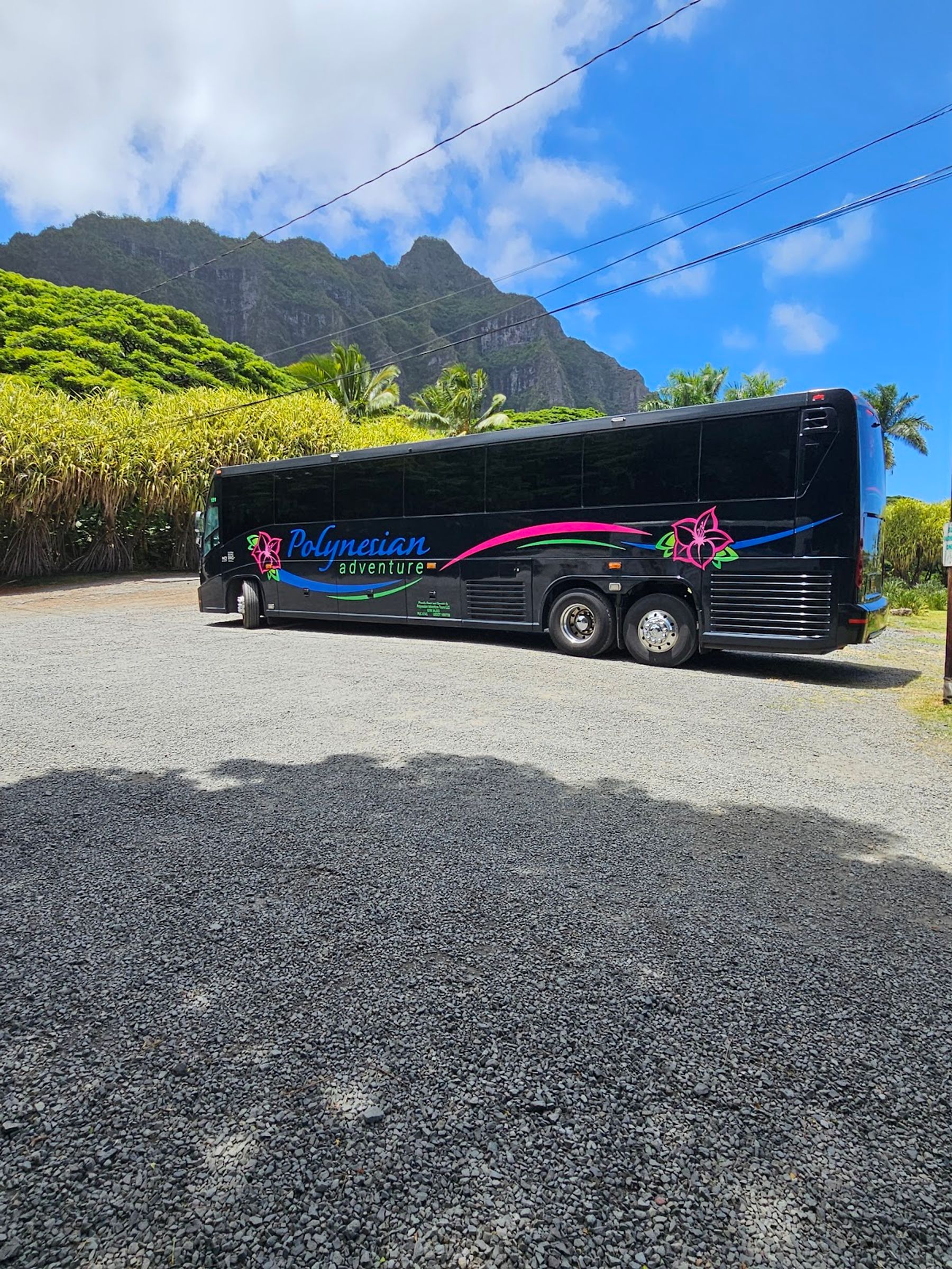 Photo 3 of Polynesian Adventure Tours in Pearl Harbor & ʻAiea, Oahu