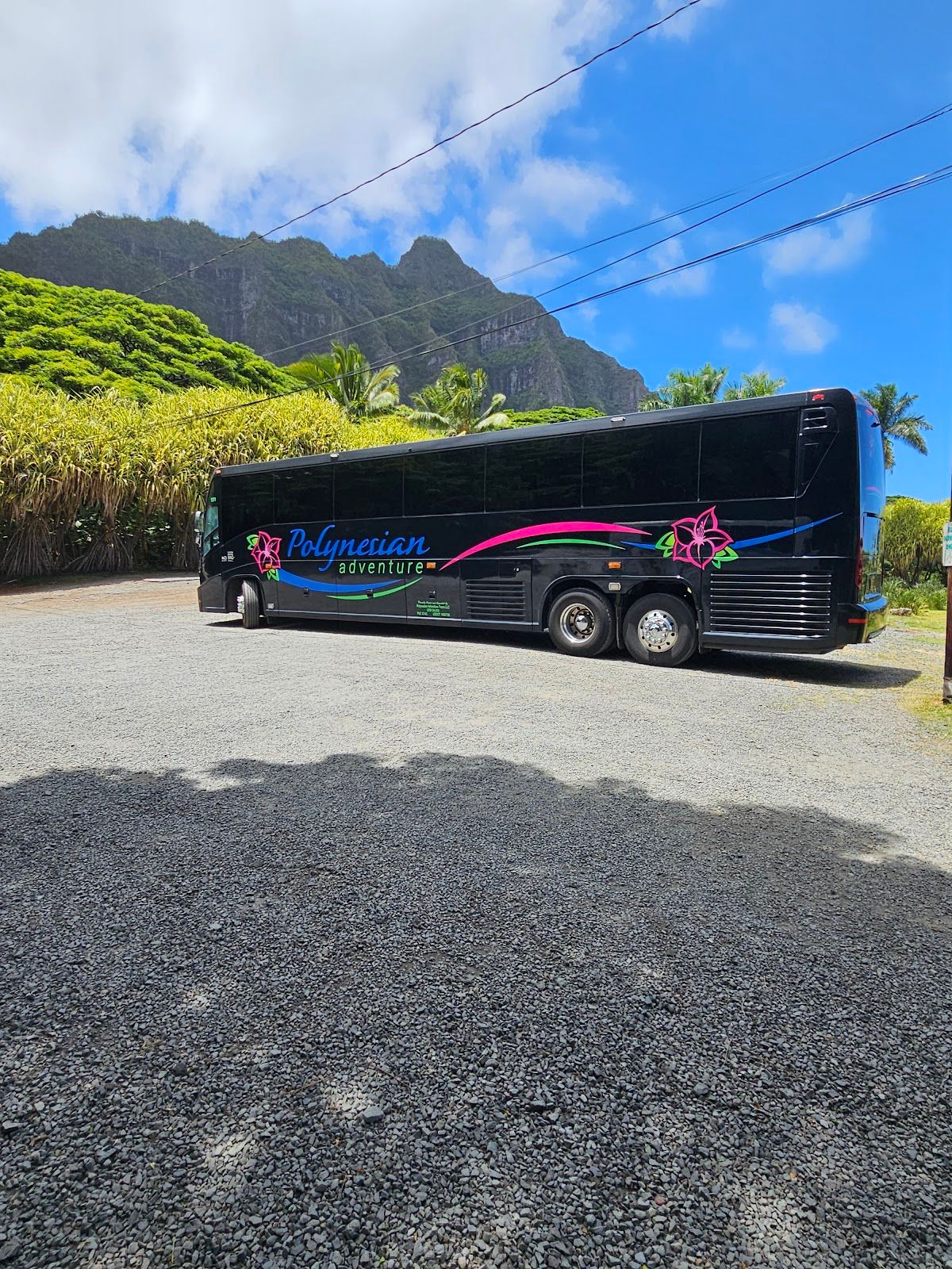 Photo 3 of Polynesian Adventure Tours in Pearl Harbor & ʻAiea, Oahu
