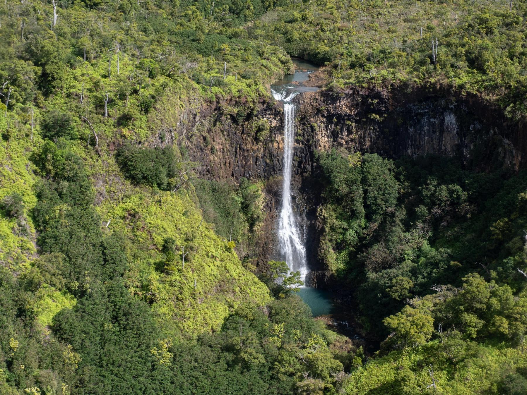 Tall waterfall dropping into an emerald pool within a lush green canyon on Kauaʻi