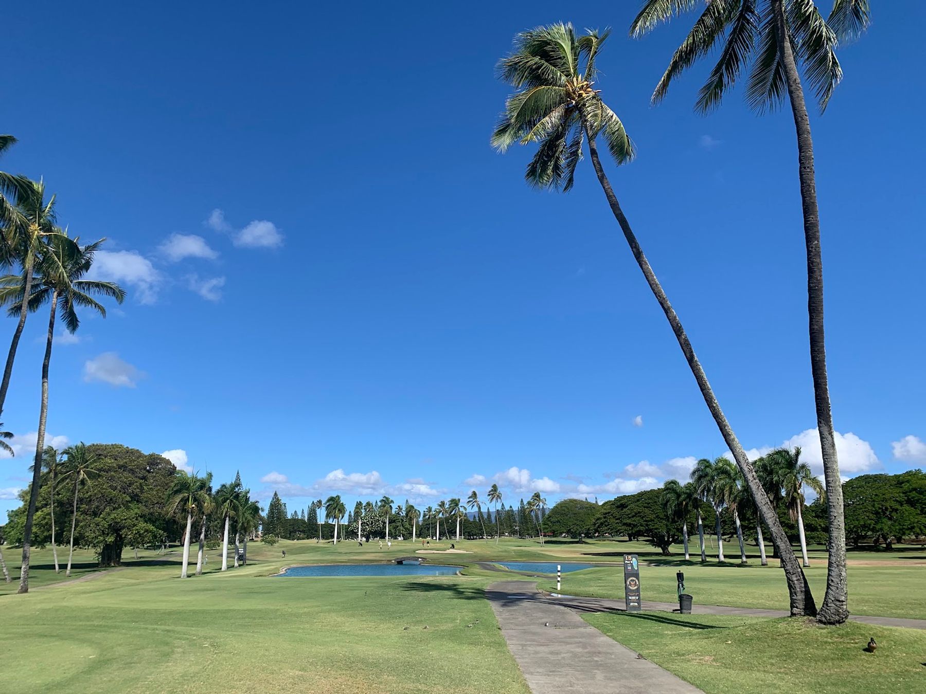 Photo 1 of Navy Marine Golf Course in Pearl Harbor & ʻAiea, Oahu