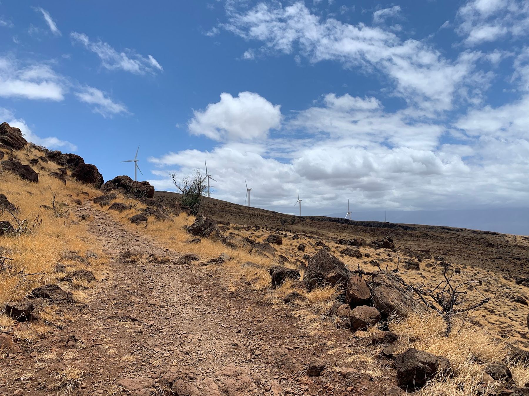Photo 4 of Lahaina Pali Trail in Māʻalaea, Maui