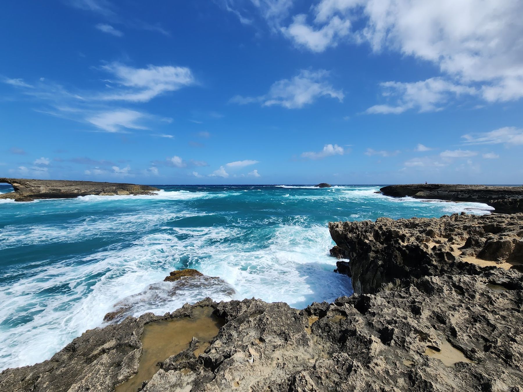 Photo 8 of Lāʻie Point State Wayside in Lāʻie, Oahu