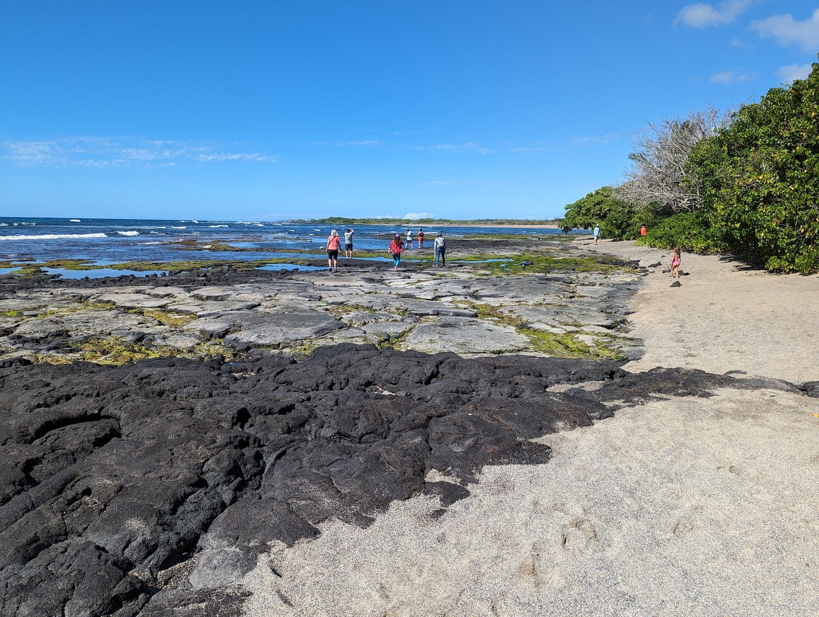 Photo 7 of Kaloko-Honokōhau National Historical Park in Kailua-Kona, Big Island