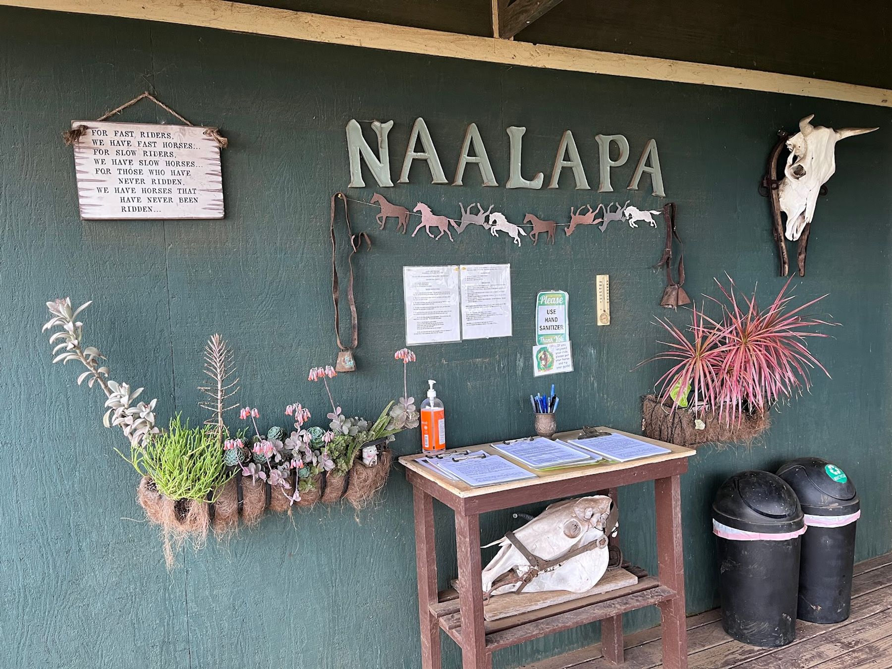 Photo 7 of Kohala Na'alapa Stables in Waimea, Big Island
